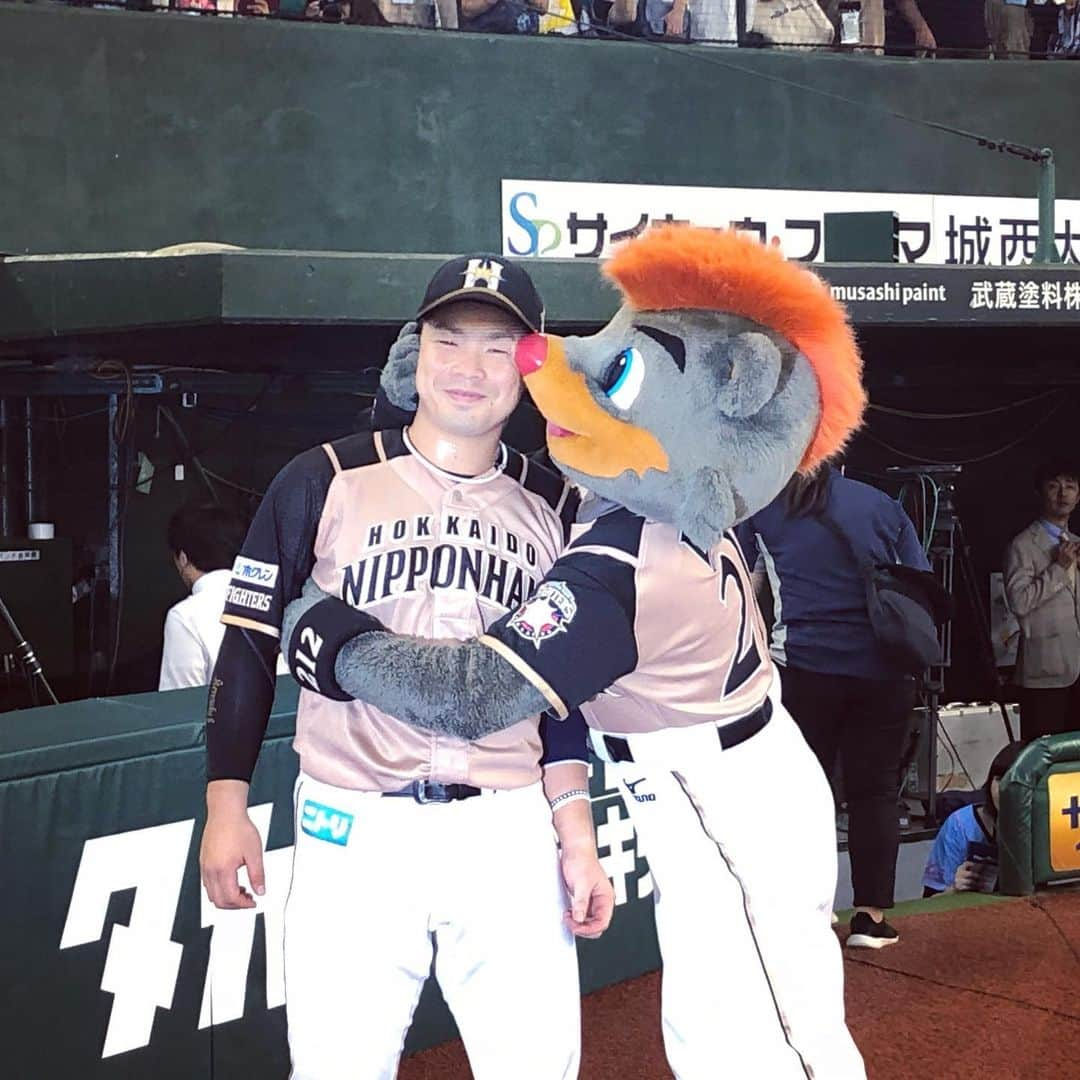 北海道日本ハムファイターズ フレップさんのインスタグラム写真 - (北海道日本ハムファイターズ フレップInstagram)「. もう立つこともないと思っていた、ビジター球場のグラウンド。 今回、ケガしたフレップの代打という、思わぬ展開でメットライフドームへ行くことに。 レオ・ライナ、そして道外のファンの皆さんとの久々の再会…心に残る2日間でした😊 ・ ボクがビジターでいつも心掛けていたのは、圧倒的アウェイの中でファイターズに声援を送ってくれるファンの皆さんに、ちょっとだけでも心強くて、誇らしく思ってもらえる存在でありたい、ってこと。 久々だったけど、今回もそんな役割を果たせたかな？そうだったら嬉しいです😉 ・ 今週は、今金→利尻 来週は、札幌ドーム→甲子園 ・ もう暫しの間だけ、B☆Bの代打稼業は続きます…。 地域と全国各地を行き来するこの生活、忙しい。けどなんか懐かしい(笑)。 ・ 〜おまけ〜（ラスト2枚） 土曜日の試合、勝利のバク転を珍しくミスったレオ。 試合後、西武ベンチのホワイトボードに何やらカキカキしてると思ったら…(笑)。 あれだけの圧倒的パフォーマンスを支えてる、レオの負けず嫌いな一面を垣間見ました😁 リスペクト❗️ by B☆B 🐻 ・ ⚾️ ・ 🐻 ・ #lovefighters #驀進 #飛び出せ新時代 #近藤健介 #代打BB #BB212 #レオ #ライナ #熱愛写真？ #ゴール写真判定」5月27日 18時38分 - frep_the_fox