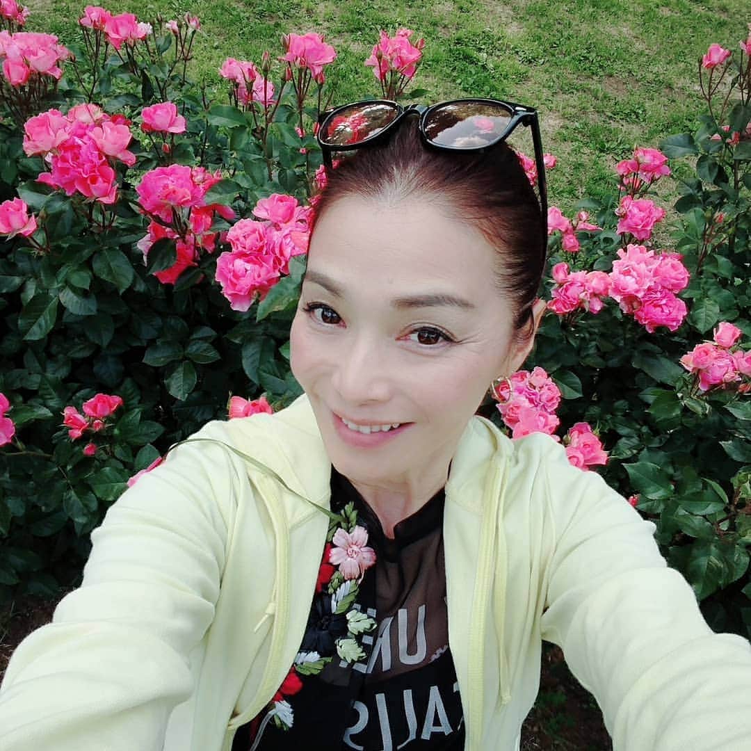 渡辺めぐみさんのインスタグラム写真 - (渡辺めぐみInstagram)「代々木公園の、バラがとても綺麗でした😁⤴️⤴️⤴️ パンダは、散歩とドライブが大好きです⤴️⤴️⤴️⤴️ そして、肩のり犬なのです😁👍👍 #代々木公園#散歩#ミックス犬#チワワ#シーズー#チワシーズ#散歩大好き #chihuahua#shihtzu#可愛い#ドッグラン#バラ #綺麗 #instagrammer #instagramjapan #instagramgood #instagramlike」5月27日 18時56分 - meguheart