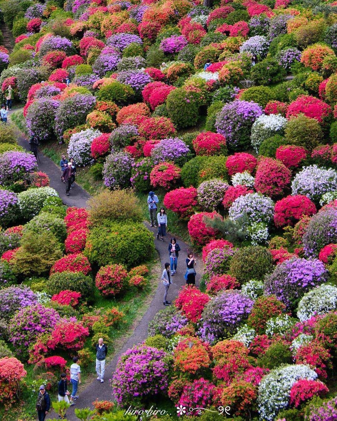 Promoting Tokyo Culture都庁文化振興部のグルメインスタ
