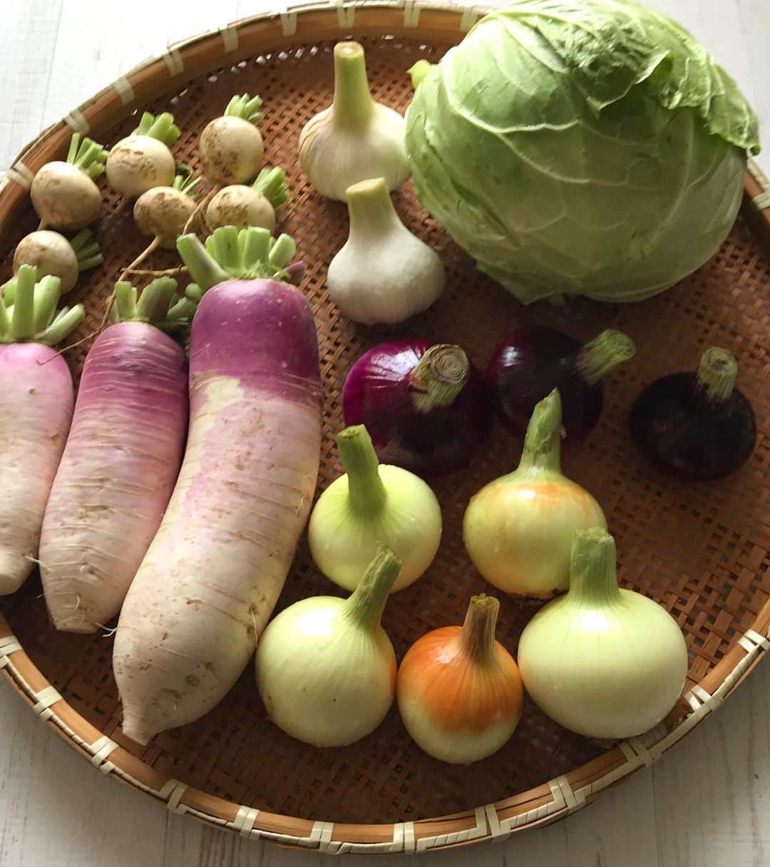 三浦理志さんのインスタグラム写真 - (三浦理志Instagram)「新タマの季節がやってきました〜！ 今年のミウラゴールド&ミウラレッドは絶好調ですね❗️ あっ、ミウラホワイトナックル（ニンニク）とミウラグリーンドッチボール（キャベツ）も最高です❗️ #surfandnorf #farm #farmer #vegetables #onion #cabbage #garlic  #サーフあんどノーフ #畑 #野菜 #しんたまねぎ #ニンニク #キャベツ #農夫 #tonytaizsun」5月27日 19時17分 - mar4m