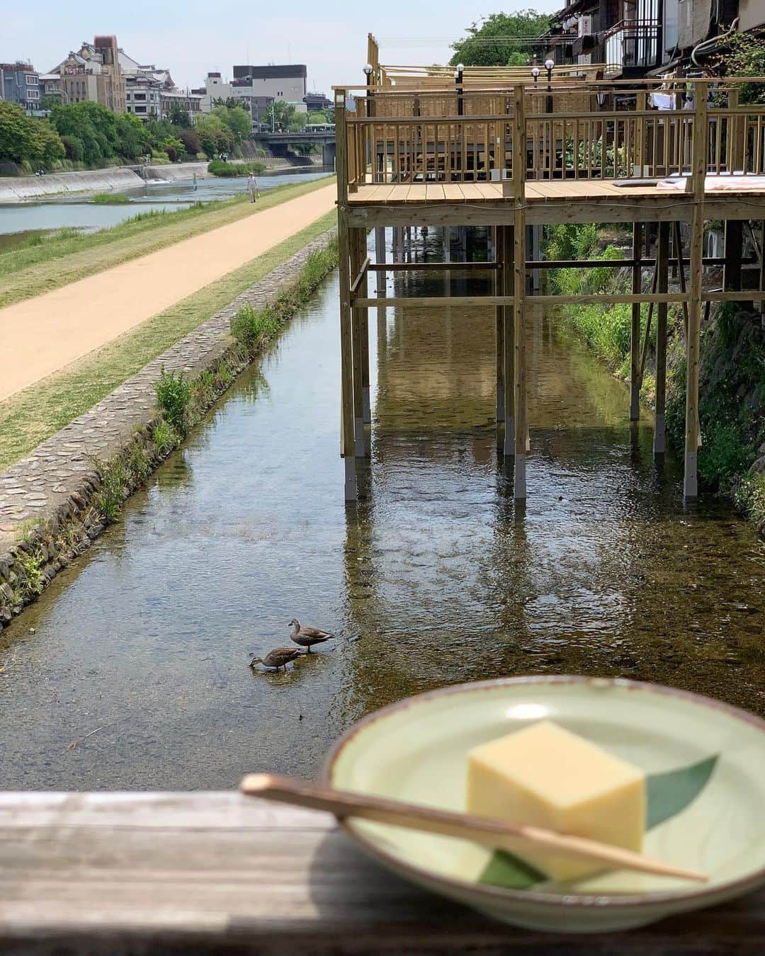 みかんさんのインスタグラム写真 - (みかんInstagram)「移動まで時間があったので中村愛ちゃんと鴨川でランチしたよ♫ 愛ちゃんにみかんちゃん写真撮るの上手いと褒めてもらった📷😜 これから趣味カメラにしようかなぁ✨ しないと思うけど(笑) 鴨川で一度、食べてみたかったから嬉しかった💖 一つ思ったんだが、鴨川って“鴨”🦆🦆🦆がいるから鴨川って言うの⁉️ 疑問中です。。。 #鴨川ランチ #京都 #花柳 #上品で美味しい #中村愛 ちゃん」5月27日 19時20分 - mikan02241984