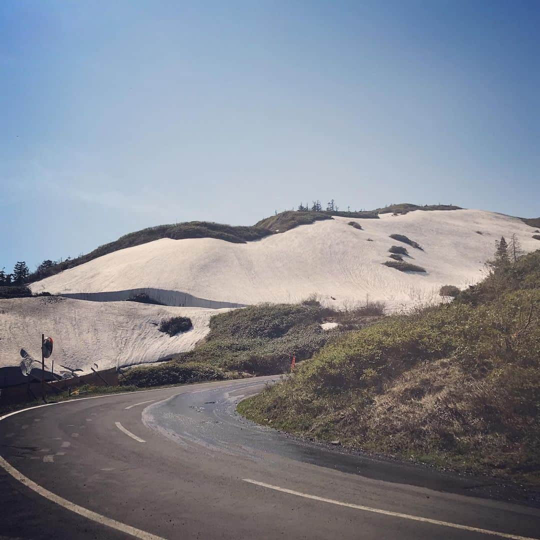 井上智晶さんのインスタグラム写真 - (井上智晶Instagram)「今日は8ぴサタのロケでミクさんと 八幡平に行ってきました。 天気は最高に良く、 新緑がとても綺麗でした😄 また、真夏のような暑さだったのに 頂上付近は 雪がまだたくさん残っていて、 別世界のようでした😳  6月29日10:25〜放送です。  #8ぴサタ #岩手めんこいテレビ #めんこいテレビ #井上智晶 #八幡平」5月27日 19時22分 - tomoaki.mit.inoue