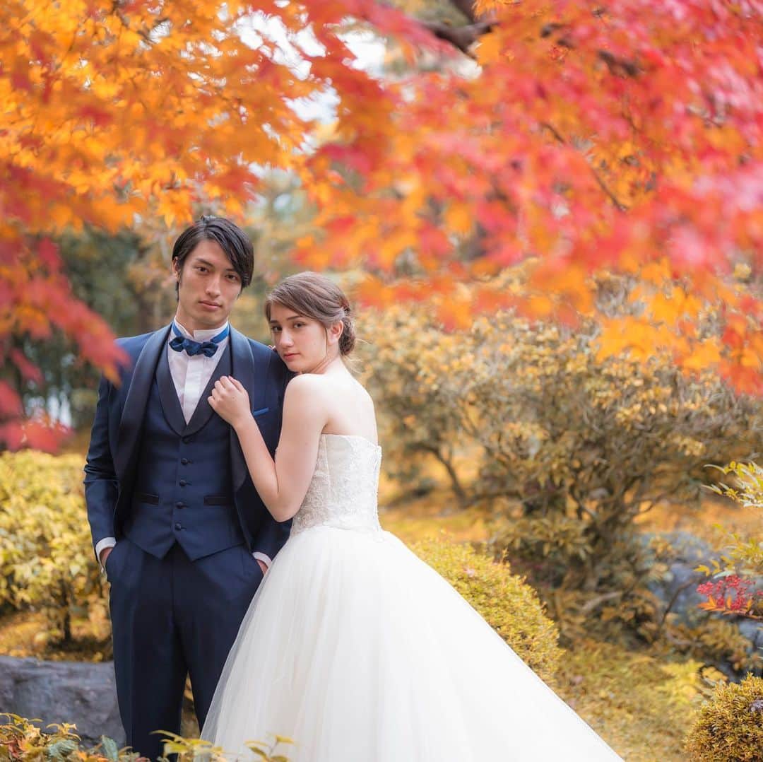 桜鶴苑のグルメインスタ