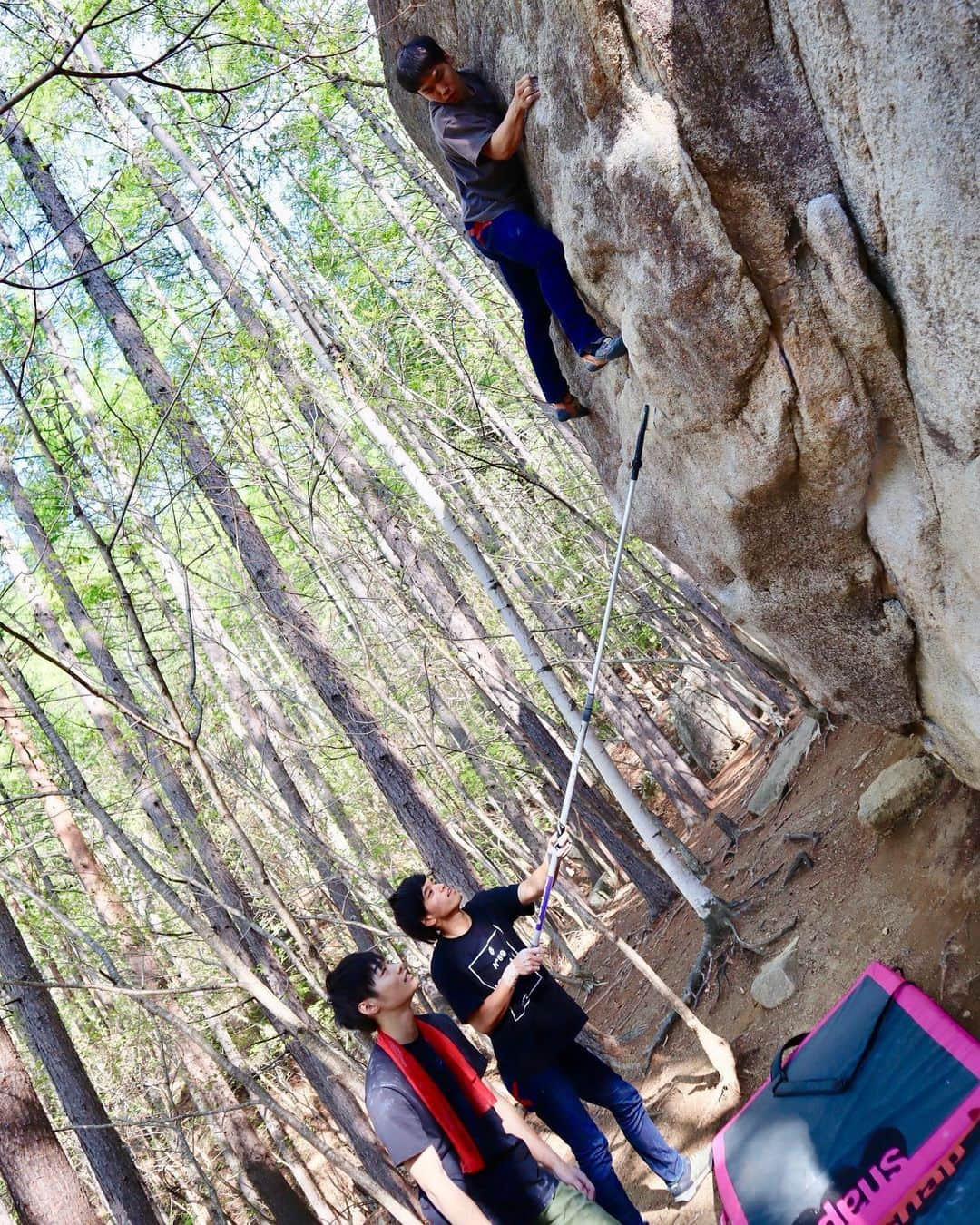 尾上彩さんのインスタグラム写真 - (尾上彩Instagram)「AIT (V7) at Ogawayama🌿☀️ ・ AIT（初段）小川山🌿☀️ 以前、指皮の痛さに１トライで諦めた課題…😅笑 今回やってみたら最初のトライで登れました😆✌🏻️ 動画は、もう１回やって！とみんなに言われリピートしたトライ。最初のトライより緊張した🥶 ゆかさんにも久々に会えてたくさん話せて楽しかった〜(^^) 一緒に行った @masayoshi_shimane @miya__take @mochi_rc ありがとう🚗💨 ・ @patagoniajp @patagonia_climb @fiveten @eyecandyworks」5月27日 20時42分 - aya_onoe