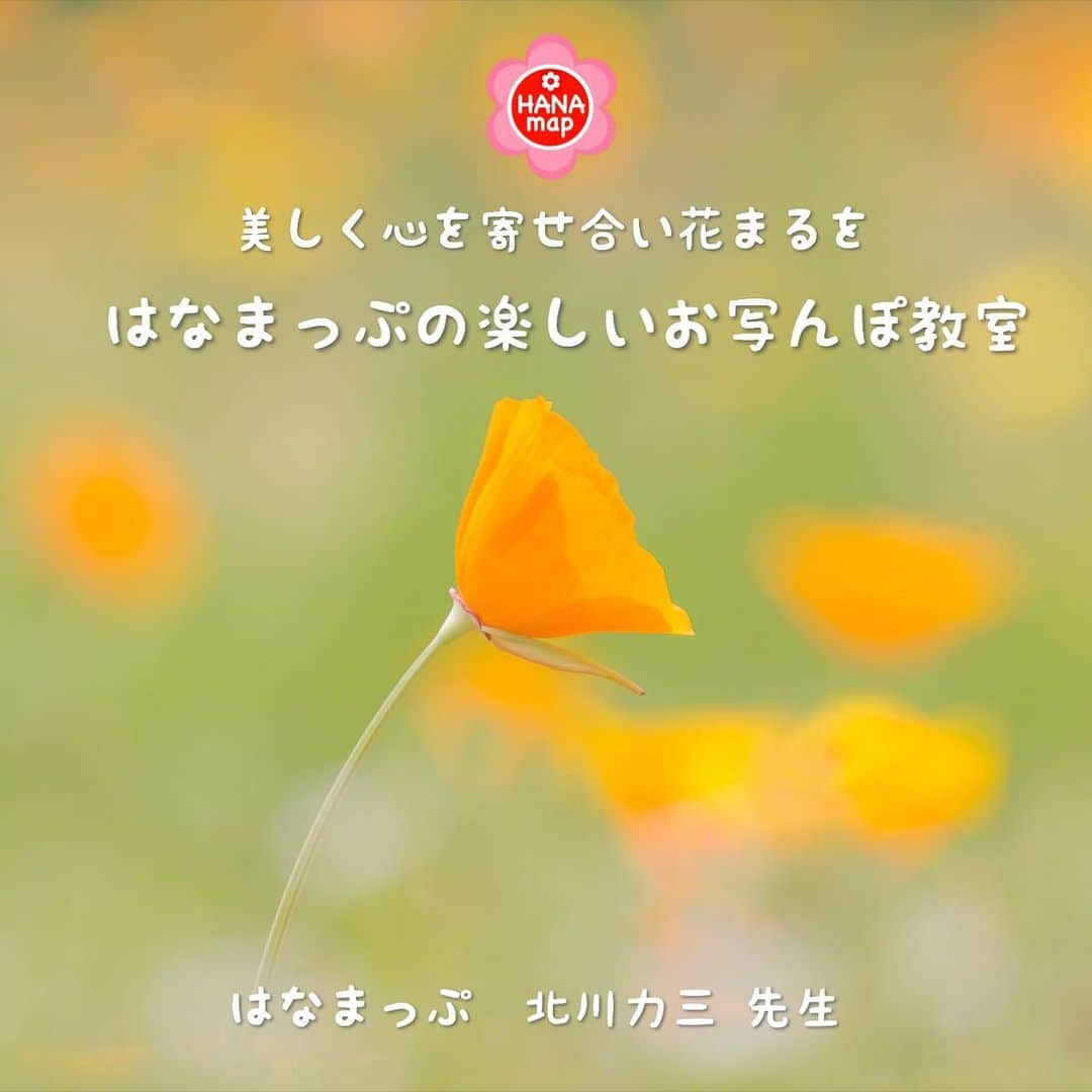 はなまっぷ❁日本の花風景さんのインスタグラム写真 - (はなまっぷ❁日本の花風景Instagram)「美しく心を寄せ合い花まるを💮 はなまっぷの楽しいお写んぽ教室📷 * みなさんこんばんは😊 いつも素敵なお花をありがとうございます🌸 * みなさんと、そしてお花たちとも 心を寄せ合いながら楽しむ 「#はなまっぷの楽しいお写んぽ教室」 * 第2回目を6/22(土)大阪の鶴見緑地で開催いたします。関西方面の方々、この機会にぜひご参加ください。 第3回目は関東方面で計画しておりますので、もうしばらくお待ちくださいね。 * 🌸•••🌸•••🌸•••🌸•••🌸•••🌸•••🌸 * 第2回 はなまっぷの楽しいお写んぽ教室📷 * 美しい花の写真や幻想的な風景写真を撮られる、写真家の北川力三先生をお招きして、写真教室を開催いたします。お花の撮り方をしっかり学びたい方はもちろん、カメラを始めて間もない初心者の方もお気軽にご参加ください。カメラの操作や専門用語が不安な方は私がサポートいたします😊スマホやコンデジでのご参加も、もちろん大歓迎！！みんなで楽しくお話ししながら花まる気分で撮影しましょう🌸✨ * 【講師】写真家 北川力三先生  @rikizo_kitagawa * 【場所】大阪府  鶴見緑地 （雨天時や高温時、花の咲き具合等により、咲くやこの花館に入館する場合があります。） * 【日時】2019年6月22日(土) 雨天決行  午前①10:00〜12:00（集合9:40）  午後②14:30〜16:30（集合14:10） * 【定員】①、② とも各20名前後 おひとり様大歓迎。 3名1組様までご応募可能です。 * 【参加費】お一人様につき3,000円  咲くやこの花館へ入館の場合は、別途入園料500円が必要となります。 * 【応募期間】〜5/31(金)まで プロフィール欄のフォームよりご応募ください。応募者多数の場合は抽選とし、当選者の方のみ6/5(水)までにDMにてご連絡いたします。DMでのご連絡をもって参加確定とさせていただきます。 * * 🌸•••🌸•••🌸•••🌸•••🌸•••🌸•••🌸 * #はなまっぷ」5月27日 21時19分 - hanamap