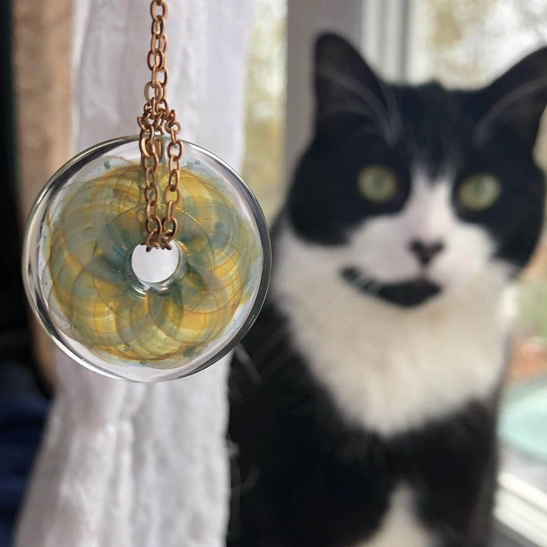 Tuxedo Cat Brosのインスタグラム：「5 years ago today, we had to say goodbye to sweet Desmond when he unexpectedly went into heart failure at just two years old. He and Ben were from the same litter and it broke our hearts to let him go. I think about him all the time, especially how when he meowed it always sounded like he was saying “Momma.” I know some of you have followed us for many years and still remember him, and that makes me so happy! Yesterday I received this necklace in the mail—a glass pendant that contains some of his ashes. I will treasure it forever. Thank you, @dmglass_ ! Swipe left to enjoy some lovable Desmond & Ben photos. ❤️❤️❤️❤️ #seeyouinanotherlifebrother」