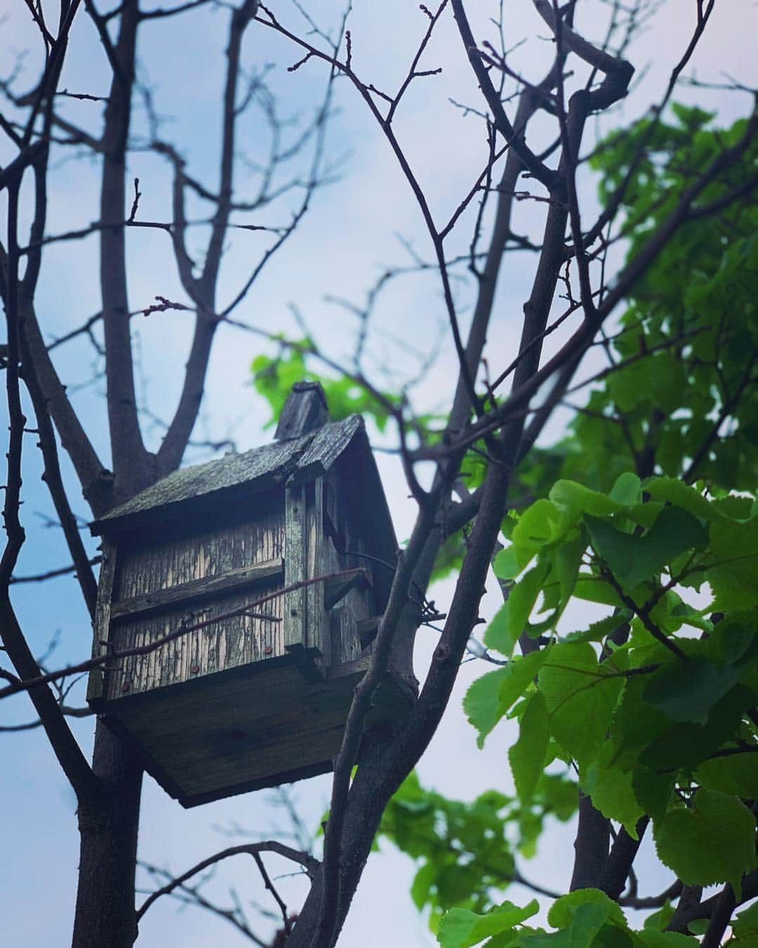 齊藤美絵さんのインスタグラム写真 - (齊藤美絵Instagram)「新宿の中心にある癒しの空間🍀✨ #新宿 #屋上  #癒しの空間 #ツタエルヒト。」5月4日 5時22分 - saitomie