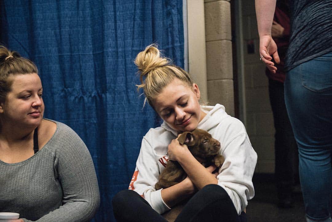 Kelsea Balleriniさんのインスタグラム写真 - (Kelsea BalleriniInstagram)「MY HEART. @furryfriendsrockinrescue brought these adorable puppies waiting to find a home by the venue today for some extra love & snuggles. If you’re in the Bismarck area and want to add a little fur baby to your family, go meet these little pups!!! 🙌🏼」5月4日 5時56分 - kelseaballerini