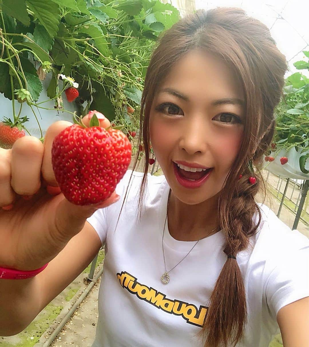 あおい夏海さんのインスタグラム写真 - (あおい夏海Instagram)「おはようございます🍒 今朝のサービスいちごショット🍓 . 先日今シーズン２回目のいちご狩り行ってきました！ 今回は食べ放題💕 さて私は0分でいちごを何個食べたでしょう？ . .  答えは 🍓🍓🍓🍓🍓🍓🍓🍓🍓🍓🍓🍓🍓🍓🍓🍓🍓🍓🍓🍓🍓🍓🍓🍓🍓🍓🍓🍓🍓🍓🍓🍓🍓🍓🍓🍓🍓🍓🍓🍓。 朝の9:30。 おなかいっぱい幸せでした！！笑 . Tシャツ @loudmouth_japan_official  LMGINZA @otalmg で売ってました💕 . #いちご狩り #イチゴ #紅ほっぺ #苺  #とちおとめ #ストロベリー #strawberry #いちご #果物 #フルーツ #自然 #千葉 #牧場 #春コーデ #カジュアル #カジュアルコーデ #tシャツ #ラウドマウス #三つ編み#三つ編みアレンジ #夏 #あおい夏海 #令和」5月4日 6時01分 - natsumi.aoi