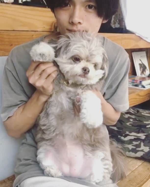 長坂 睦生のインスタグラム：「今日はギズモと遊んだ🐶」