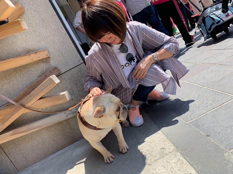 足立かりんさんのインスタグラム写真 - (足立かりんInstagram)「🐕🐩、、、🧡💛 #可愛えぇぇぇ #わんちゃん #スタバで出会ったわんちゃん #日向ぼっこしてた #癒し空間 #福岡 #太宰府 #fukuoka #starbucks」5月3日 21時16分 - karinadachi