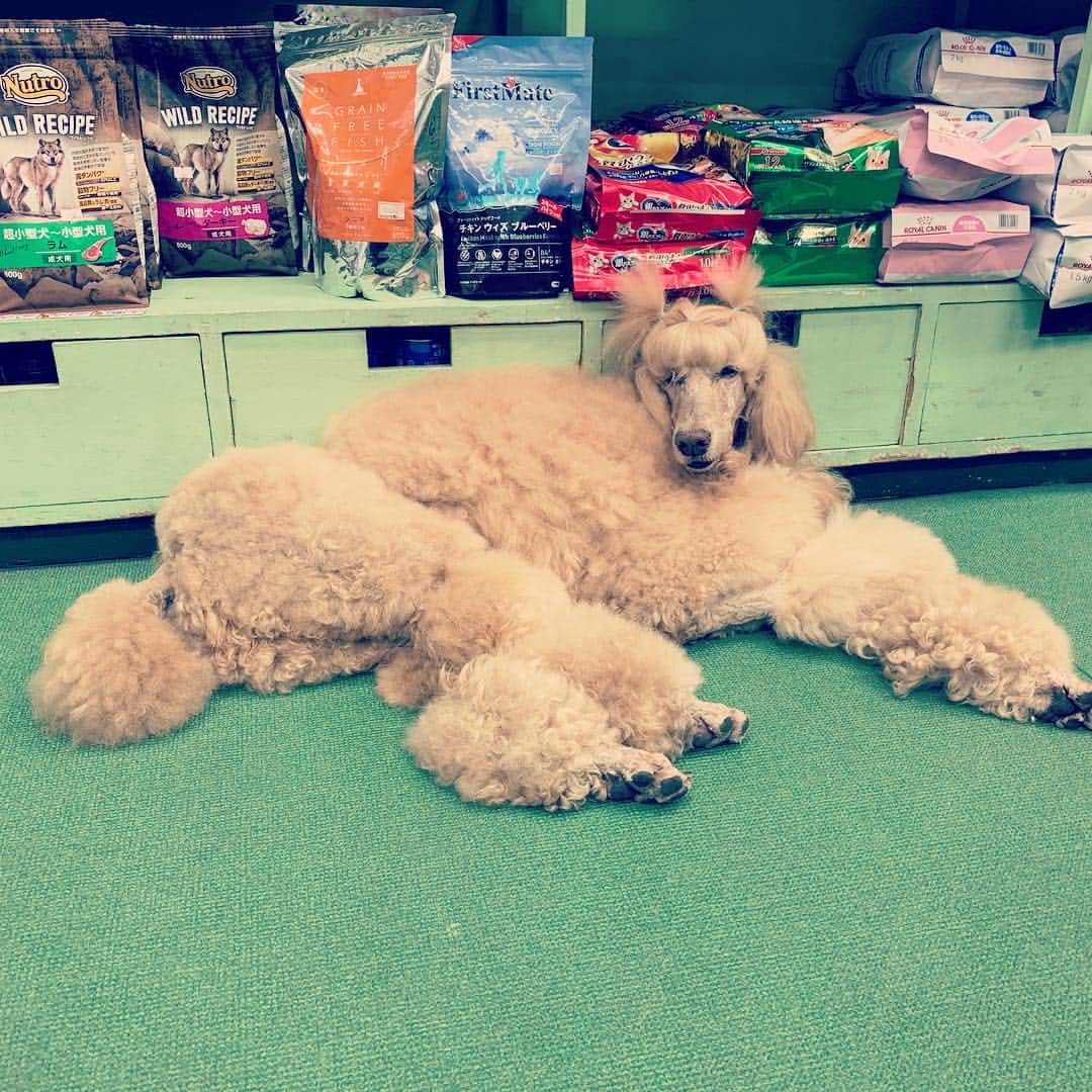 一三のインスタグラム
