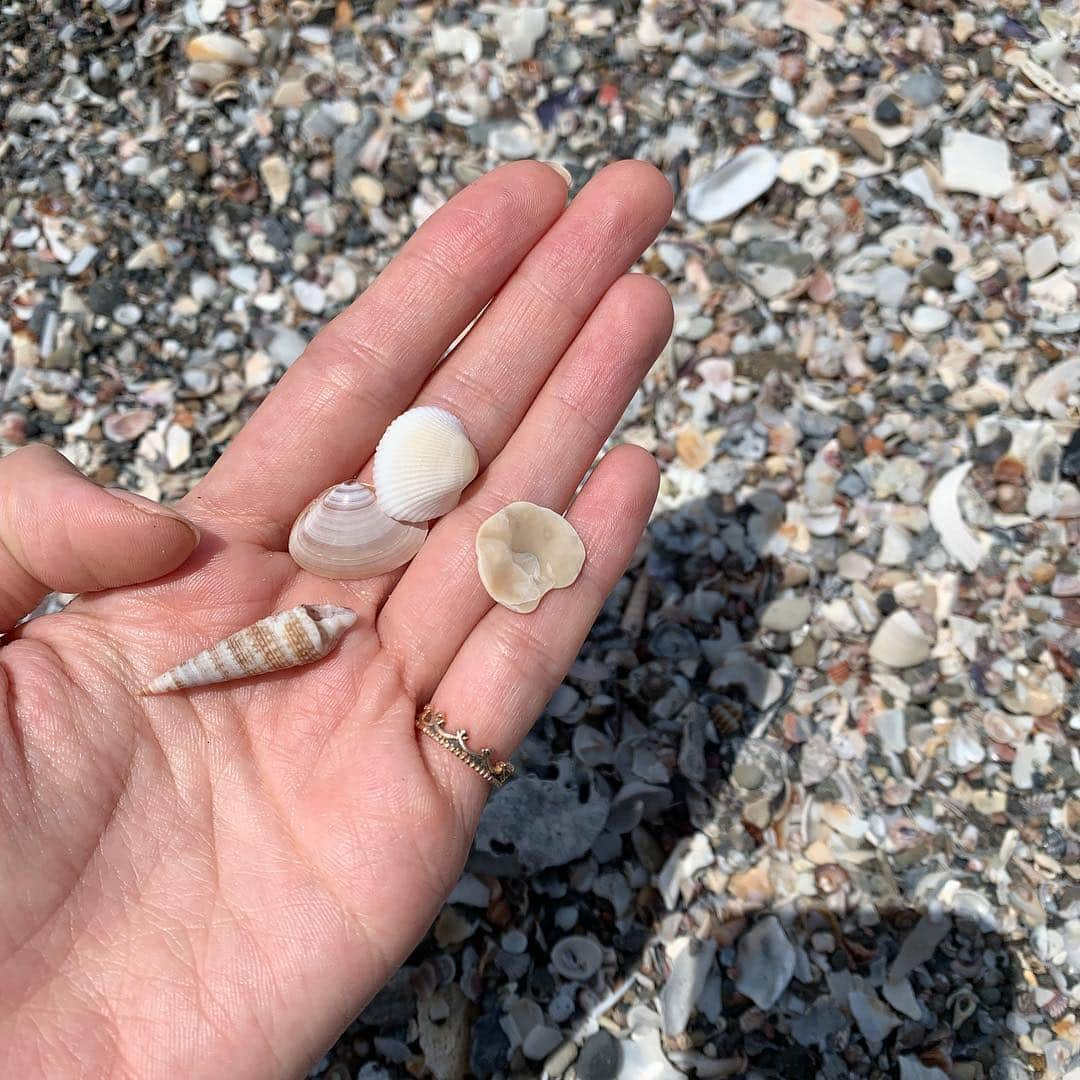 石井亜美さんのインスタグラム写真 - (石井亜美Instagram)「🐚 . 逗子海岸はZushi beach film festivalで 盛り上がっています🎬💙 来年こそ行きたいな〜！！！ なんかこう、好みドンピシャな映画をやってほしい！ というワガママ。笑 . ベイビードライバーとか、シングストリートとかどうですか？←勝手に提案するww みんなは、夜のビーチでどんな映画を観たい？🥺 #あみの湘南生活 . . #shonan #shonanlife #zushi #zushibeachfilmfestival #youtuber #beach #seaside #nojess」5月3日 21時35分 - ami_ishii_