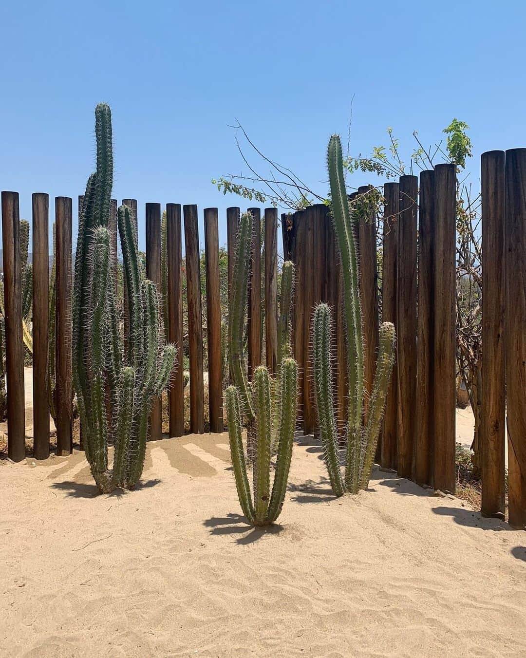 Club Monacoのインスタグラム：「Where to wander: Explore the lush landscapes and modern architecture along the Oaxacan Coast in Puerto Escondido. 🌵」