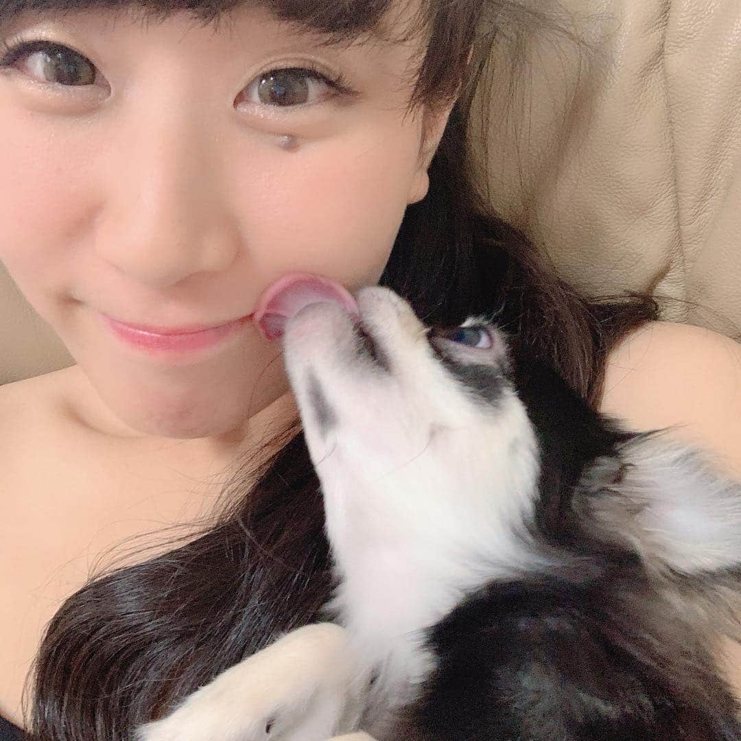 ぱちおまるのインスタグラム