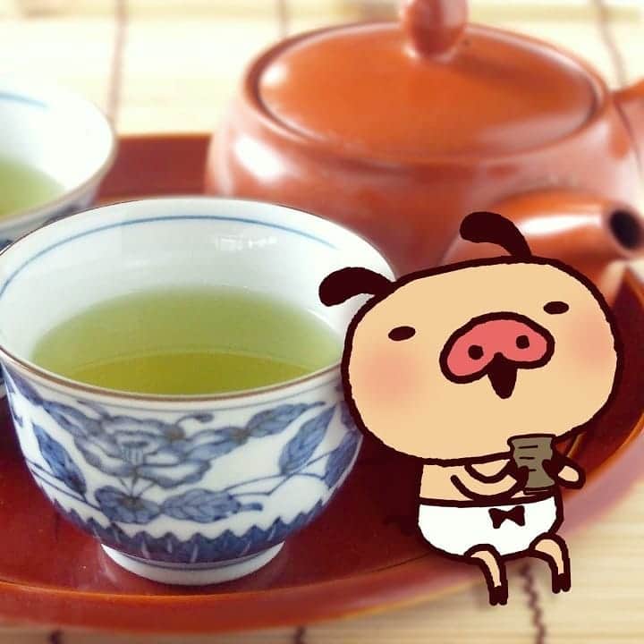 パンパカパンツ公式さんのインスタグラム写真 - (パンパカパンツ公式Instagram)「５月は新茶の季節だね！  ぼく、お茶だーいすき！ホッ🍵😌 #緑茶 #greentea #tea #パンパカパンツ #panpakapants #アニメ #animation #ぶた #癒し #子供 #治癒 #可愛 #pig #character #Japan #Japanese」5月3日 22時14分 - panpaka_pants_official