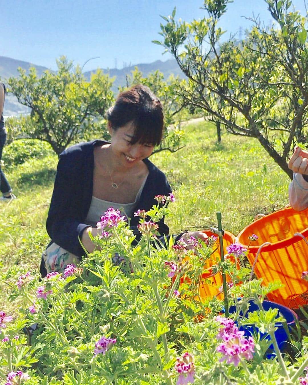 早坂香須子さんのインスタグラム写真 - (早坂香須子Instagram)「今年も佐賀県唐津市の耕作放棄地で、ネロリラボタニカの素材のひとつ、ジャパニーズネロリの原料となるみかんの花を摘みました。  毎年参加してくれる丸山敬太さん、 2回目の参加となる佐々木敬子ちゃん、 はじめて参加の可児ひろ海ちゃん、 敬太さんのお友達のおしんちゃん、よしえさんも参加して下さって、賑やかに。  今年は開花が遅く、収穫はいまいちだったけれど、4年目も杉谷惠美さんはじめ、ネロリラチームでこの土地にご挨拶に来ることが出来て嬉しい。  後継者のいない、荒れ果てたこの耕作放棄地をオーガニックコスメの原料畑に変えた”JCC”の皆さんの計らいで、この山にNEROLILA Botanica のブランドサインを立てて頂きました。  4年目のネロリラも宜しくお願い致します。  明日のJCC主催イベント @hanamarche_beauty に参加します。是非遊びに来て下さい😊  #nerolilabotanica #ネロリラボタニカ #オーガニックコスメ #organic #唐津」5月3日 22時07分 - kazukovalentine