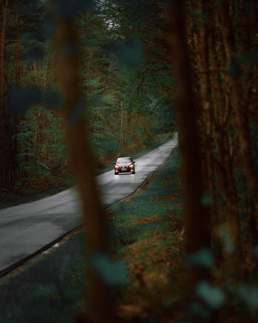 Simone Bramanteさんのインスタグラム写真 - (Simone BramanteInstagram)「{ 🍃 } • Reconnecting with the natural environment along the long and empty roads of the French countryside.  A silent drive w/ @nissaneurope #SimplyAmazing #ad #NissanLEAF」5月3日 22時38分 - brahmino