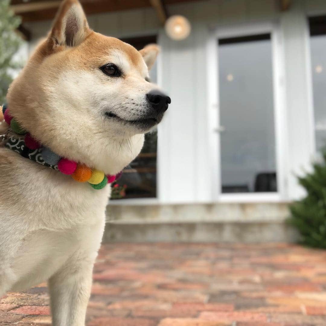 豆助左衛門（まめすけざえもん）のグルメインスタ