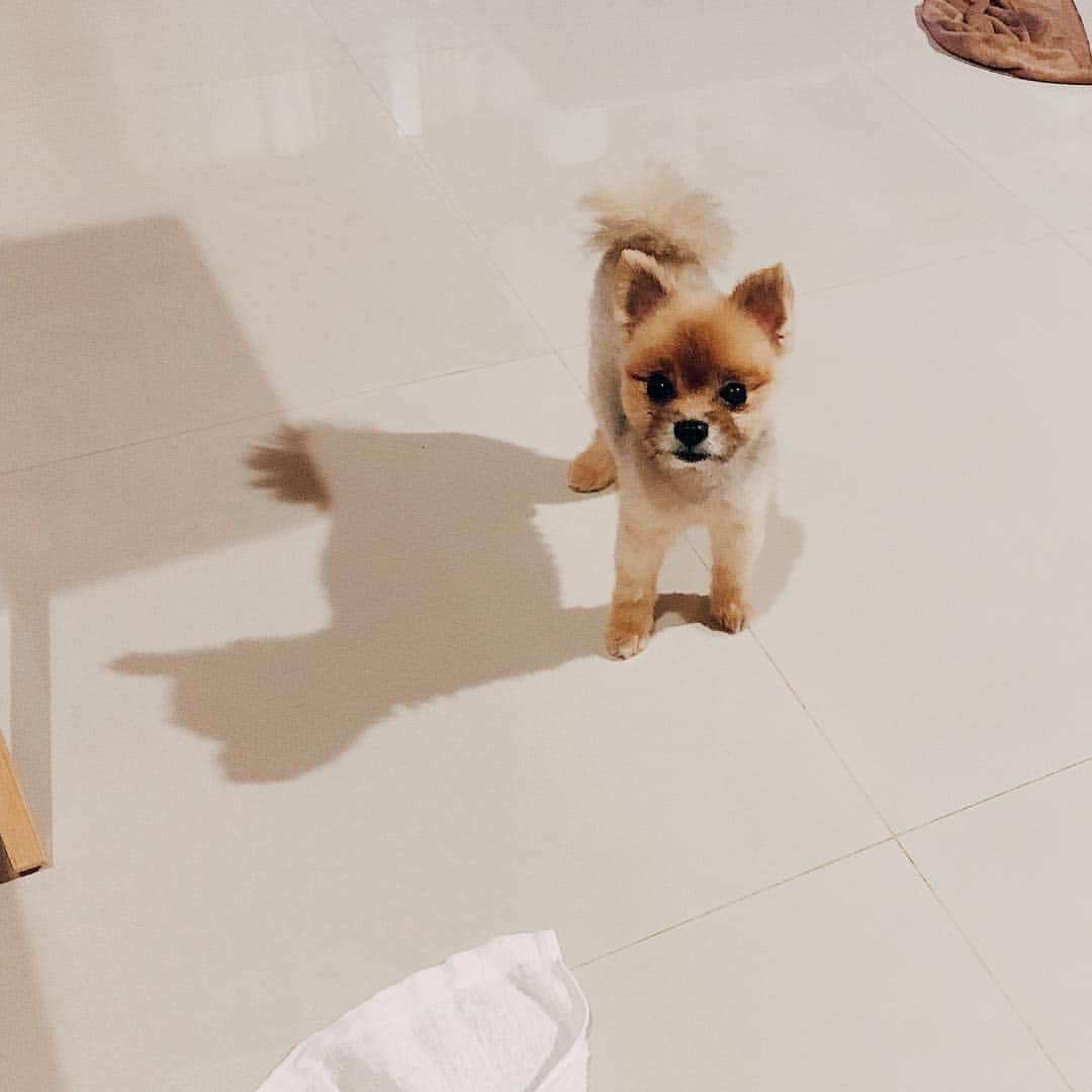 r_oseのインスタグラム：「Yes or No for those bunny ears ??🐰〰️」