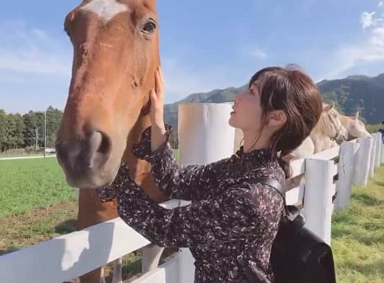 安藤志穂美さんのインスタグラム写真 - (安藤志穂美Instagram)「とにかく悪臭と動物たちの鳴き声で精神削られます。 動画のように馬に抱きつくのは、カメラを通してれば綺麗に見えますが、実際、動物には見たことない虫がたくさん身体にへばりついています🐛🐜🦗🕷 動物に抱きつけば自分の顔に虫が付きます。 私の唇には小さなムカデみたいのが付きました。 それでも私は死ぬまで動物と関わっていたいし、助けてあげたい。 私は幸い、動物も虫も大好きなのでこういう場所は私にとっては天国そのものです🌱  付き添いで来てくれた旦那は、さも平気そうに馬と写真撮ってますが、実はめちゃめちゃビビっていて、動物が怖い旦那には不向きな場所でした☺︎！ だけど私の影響なのか最近は動物に興味が出てきたみたいなんです、やたら動物の動画を最近見てます。  #horse #animal #freedom #animalrights #pescovegetarian #vegetarian #vegan #nature #japan #牧草地 #牧場経営 #動物愛護」5月4日 0時00分 - shiomi_ando