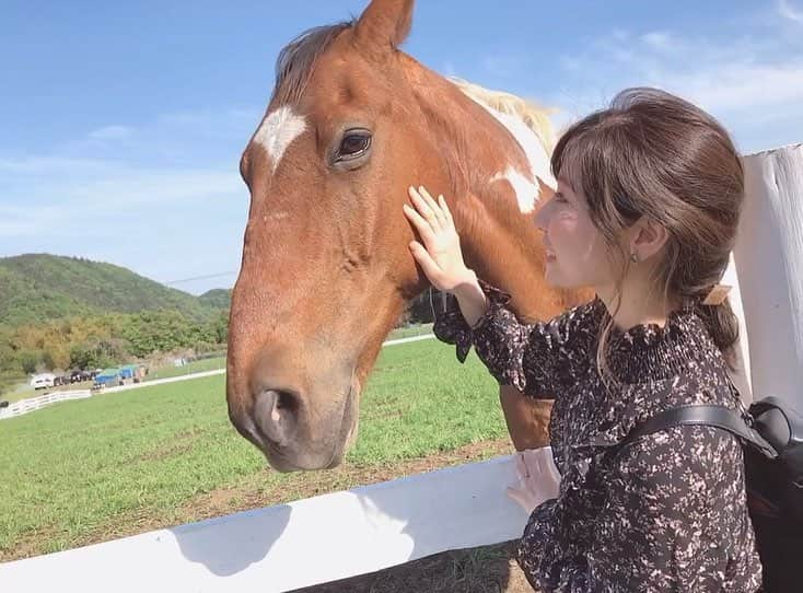 安藤志穂美さんのインスタグラム写真 - (安藤志穂美Instagram)「とにかく悪臭と動物たちの鳴き声で精神削られます。 動画のように馬に抱きつくのは、カメラを通してれば綺麗に見えますが、実際、動物には見たことない虫がたくさん身体にへばりついています🐛🐜🦗🕷 動物に抱きつけば自分の顔に虫が付きます。 私の唇には小さなムカデみたいのが付きました。 それでも私は死ぬまで動物と関わっていたいし、助けてあげたい。 私は幸い、動物も虫も大好きなのでこういう場所は私にとっては天国そのものです🌱  付き添いで来てくれた旦那は、さも平気そうに馬と写真撮ってますが、実はめちゃめちゃビビっていて、動物が怖い旦那には不向きな場所でした☺︎！ だけど私の影響なのか最近は動物に興味が出てきたみたいなんです、やたら動物の動画を最近見てます。  #horse #animal #freedom #animalrights #pescovegetarian #vegetarian #vegan #nature #japan #牧草地 #牧場経営 #動物愛護」5月4日 0時00分 - shiomi_ando