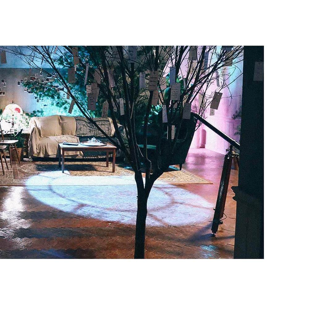 BTSさんのインスタグラム写真 - (BTSInstagram)「WISH TREE 🌳🏷 . #BTS #5THMUSTER #MAGICSHOP #방탄소년단 #BUSAN #SEOUL #BTSWISHTREE」5月4日 0時01分 - bts.bighitofficial
