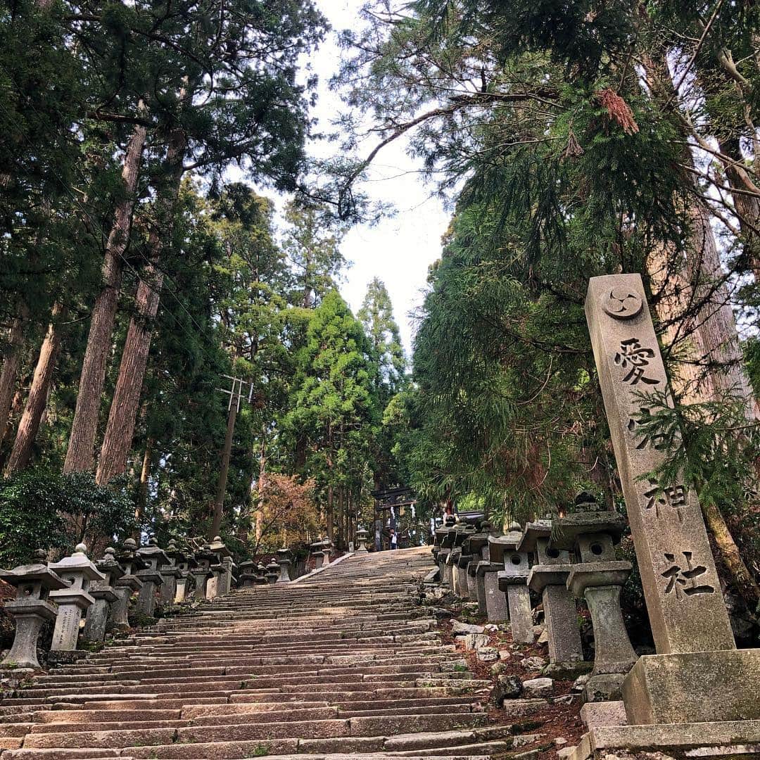 Princess M Classicさんのインスタグラム写真 - (Princess M ClassicInstagram)「Princess M Classic のボギーです。 4月末に予定していたアウトドアの旅行は雨でキャンセルに、、 久しぶりに山に登ってみました！ 高さ900mですが山頂にはまだ桜が。 新緑の爽やかな緑にも癒されました。  全ては減量のため！？😅 やっと気持ちいい気候になってきました。皆さんも良いお休みをお楽しみ下さい㊗️ #antique  #アンティーク  #愛宕山  #山登り  #京都  #減量  #まだ桜  #新緑」5月4日 0時06分 - princessmclassic