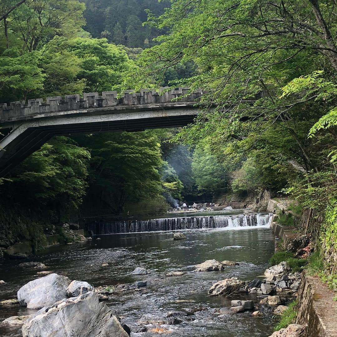 Princess M Classicさんのインスタグラム写真 - (Princess M ClassicInstagram)「Princess M Classic のボギーです。 4月末に予定していたアウトドアの旅行は雨でキャンセルに、、 久しぶりに山に登ってみました！ 高さ900mですが山頂にはまだ桜が。 新緑の爽やかな緑にも癒されました。  全ては減量のため！？😅 やっと気持ちいい気候になってきました。皆さんも良いお休みをお楽しみ下さい㊗️ #antique  #アンティーク  #愛宕山  #山登り  #京都  #減量  #まだ桜  #新緑」5月4日 0時06分 - princessmclassic