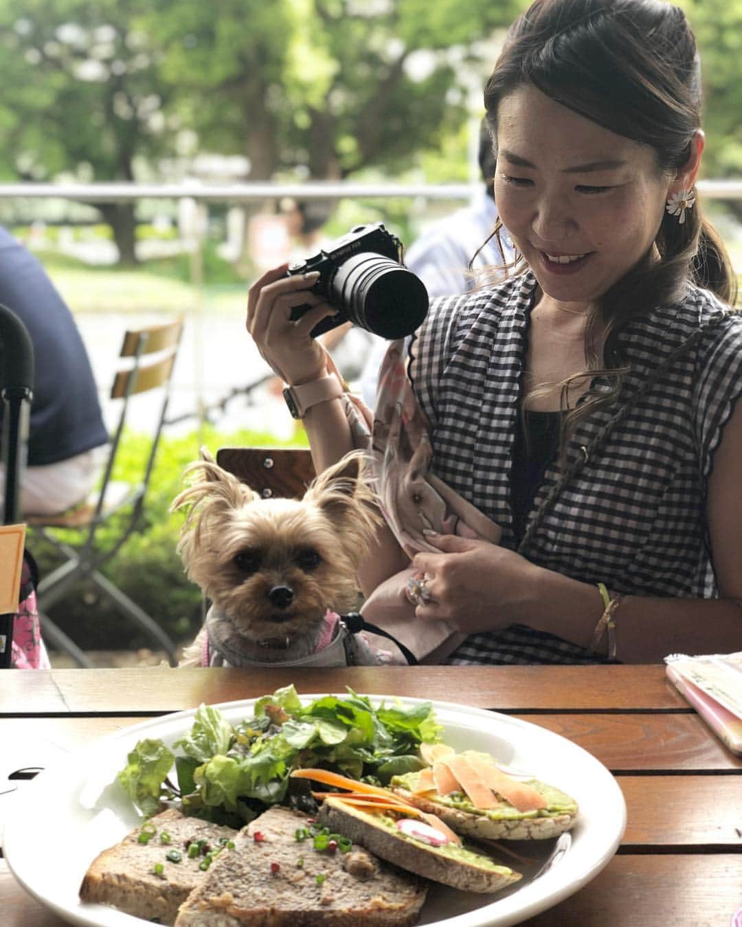 Rubyさんのインスタグラム写真 - (RubyInstagram)「ㅤㅤㅤㅤㅤㅤㅤㅤㅤㅤㅤㅤㅤㅤㅤ 🐶💬 is it my lunch 🥗❓😋 これはあたしのランチですか❓🥗😋 ㅤㅤㅤㅤㅤㅤㅤㅤㅤㅤㅤㅤㅤㅤㅤ これはママの親友のランチ。ルビたんにはママが頼んだサラダについてくるパンをあげました。 ㅤㅤㅤㅤㅤㅤㅤㅤㅤㅤㅤㅤㅤㅤㅤ 今日は親友とお揃いのワンピースや指輪をしてルビたんも一緒にお散歩しました。2枚目の2人のデイジーの指輪、どこにあるか分かるかな？  ランチはテラス席が気持ち良かった😊 本当はルビーもギンガムチェックのワンピにしたかったんだけど、昨日ショップで見かけたのはフリフリヒラヒラな上にラブリーなリボンまでついていてラブリーすぎて80年代アイドルか？！って突っ込みたくなるデザインだったので😅 もう少しシンプルで私が連れていて恥ずかしくないものをお取り寄せ中。届いたらまたみんなでお揃いデートしたいね💕 #yorkie #ヨーキー #yorkshireterrier #ヨークシャテリア」5月4日 0時36分 - ruby_the_yorkie