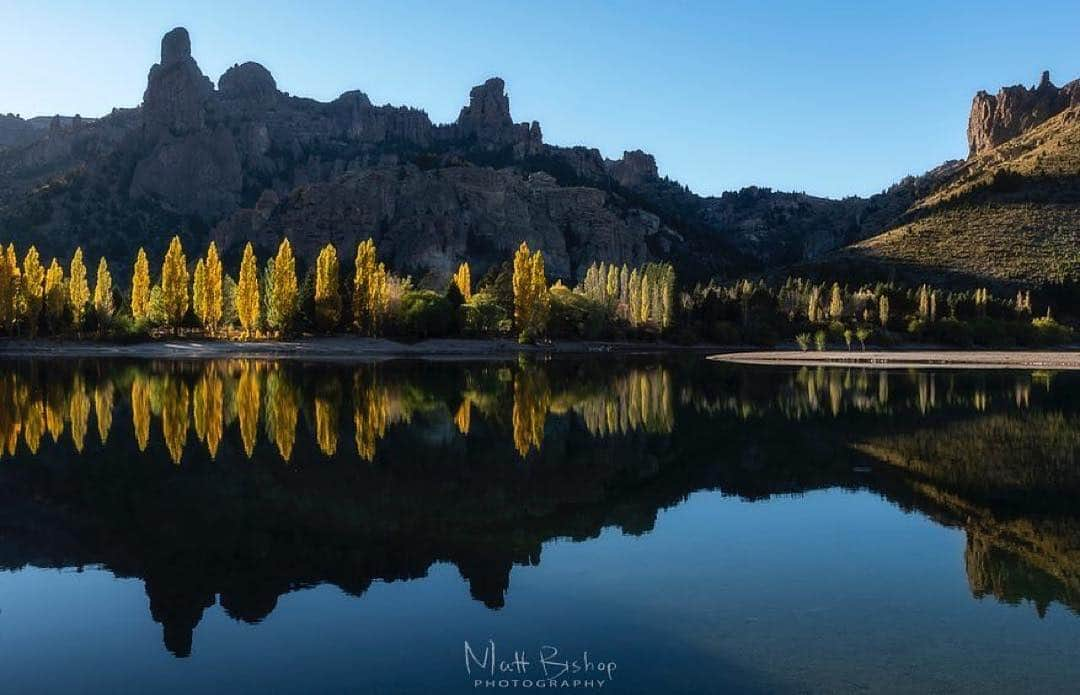 Ricoh Imagingさんのインスタグラム写真 - (Ricoh ImagingInstagram)「Posted @withrepost • @mattbishopphotography FLAME TREES  Day 2.  Patagonia Overland Landscape Photography Workshop  This is an image taken from our second day on the workshop I lead in Patagonia this April. As far as I know this location up until now has not been photographed by professional photographers due to its isolated and secluded location. Thankfully enough on this morning there was not wind so we were able to capture perfection reflection of the autumn Poplar trees in full colour.  PENTAX K1 – DFA 15-30 LENS KASE 150 CPL FILTER SIRUI WS2004 TRIPOD. 📷. #splendid_earth #natureperfection #beautyofnature  #nakedplanet #theglobewanderer #fantastic_earth #nature_wizards #fiftyshades_of_nature #ourplanetdaily #argentinatravel #ricohimaging #montaneofficial #patagonia #pentax #kasefilters  #kasefiltersglobal  #kasefiltersuk #kasefiltersdeutschland #kasefilterseurope #siruiitalia #ramaidea #toscanafotoservice #universofoto #teampentax #kawenexpeditions #siruiimaging #kasefiltersuk  In collaboration with Kawen Expeditions」5月4日 0時47分 - ricohpentax