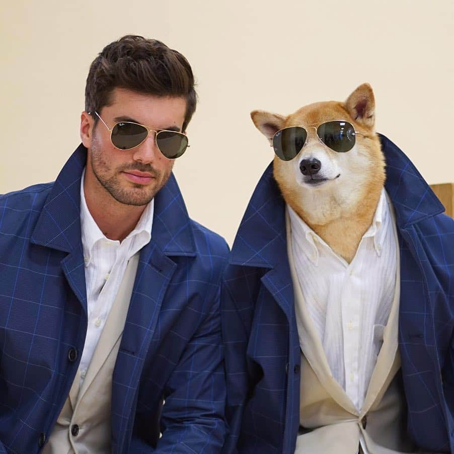 Menswear Dogのインスタグラム