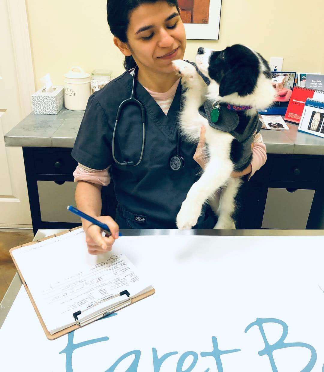 Jazzy Cooper Fostersさんのインスタグラム写真 - (Jazzy Cooper FostersInstagram)「Puppy’s first vet visit. BB is her “emotional support doggo” today. As expected, Puppy (no final name yet!) has worms just like her siblings but other than that, doctor says she looks great. 💮🙂 P.S. A vet visit like this is really good for BB. (Or any dogs that have anxiety at the vet) All she had to do was be there and get lots of love and treats from everyone. 💓」5月4日 1時23分 - bordernerd