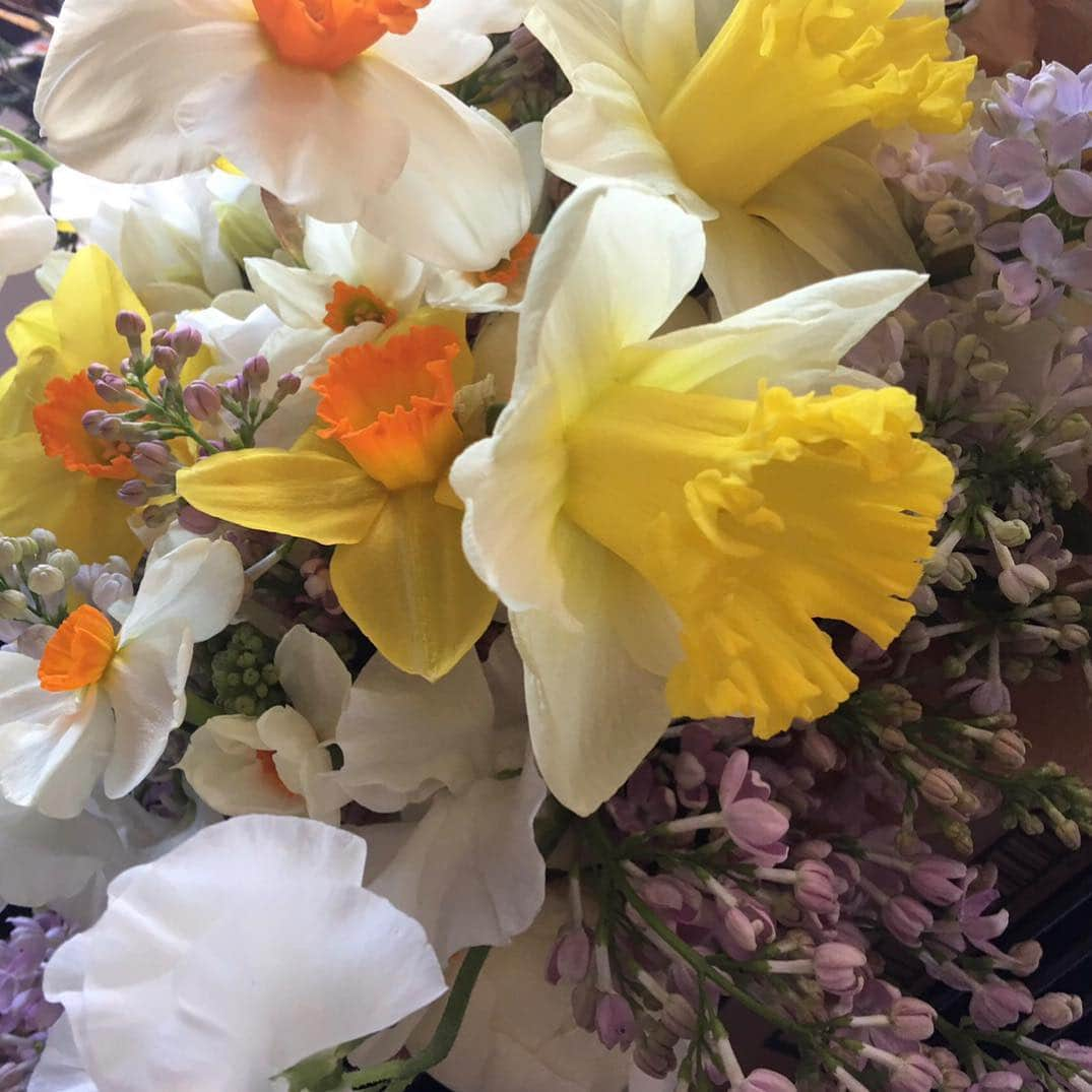 ザックポーゼンさんのインスタグラム写真 - (ザックポーゼンInstagram)「#Friday #flowers from the garden.🥰」5月4日 2時04分 - zacposen