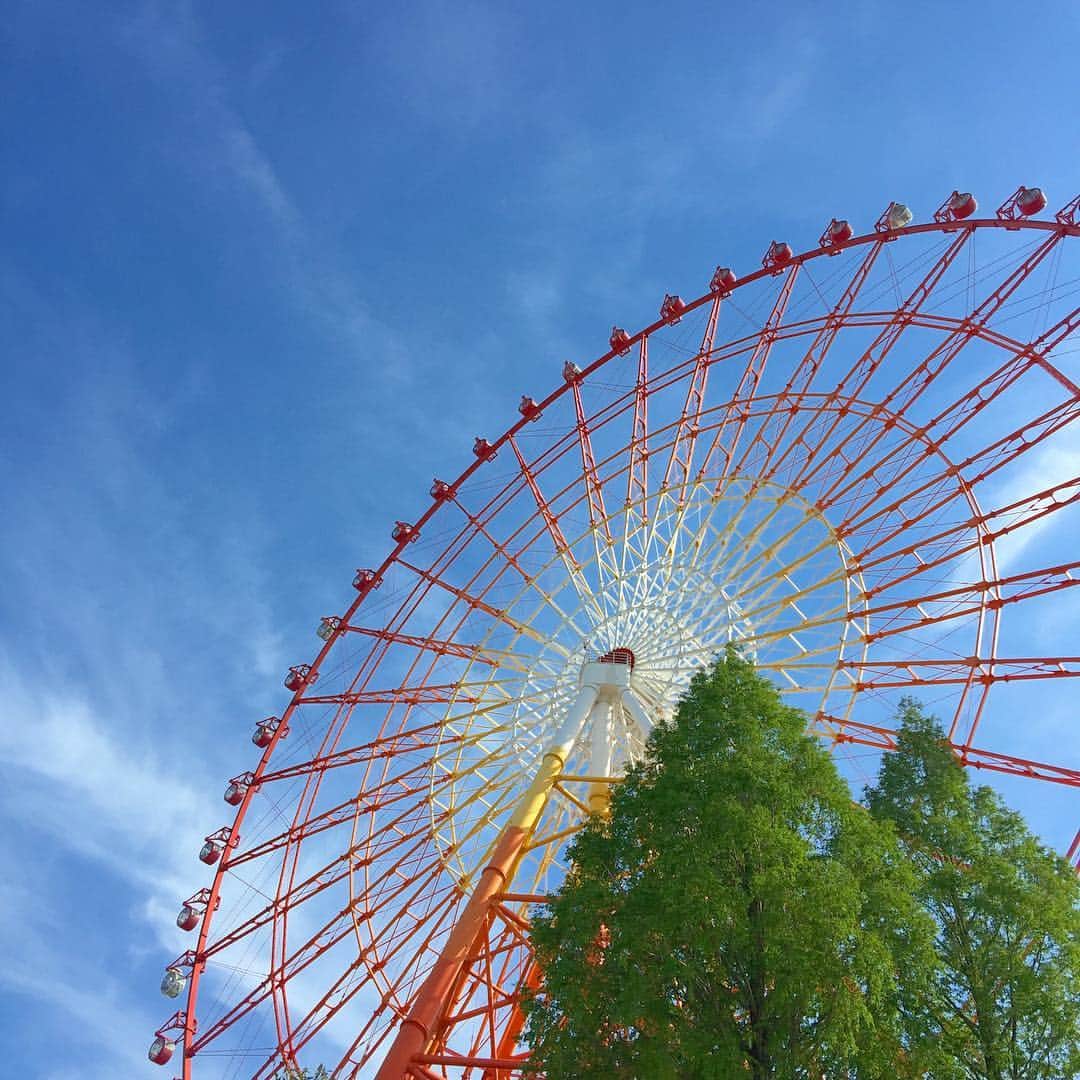 のインスタグラム：「高所恐怖症なので乗れません🤷🏻‍♀️」