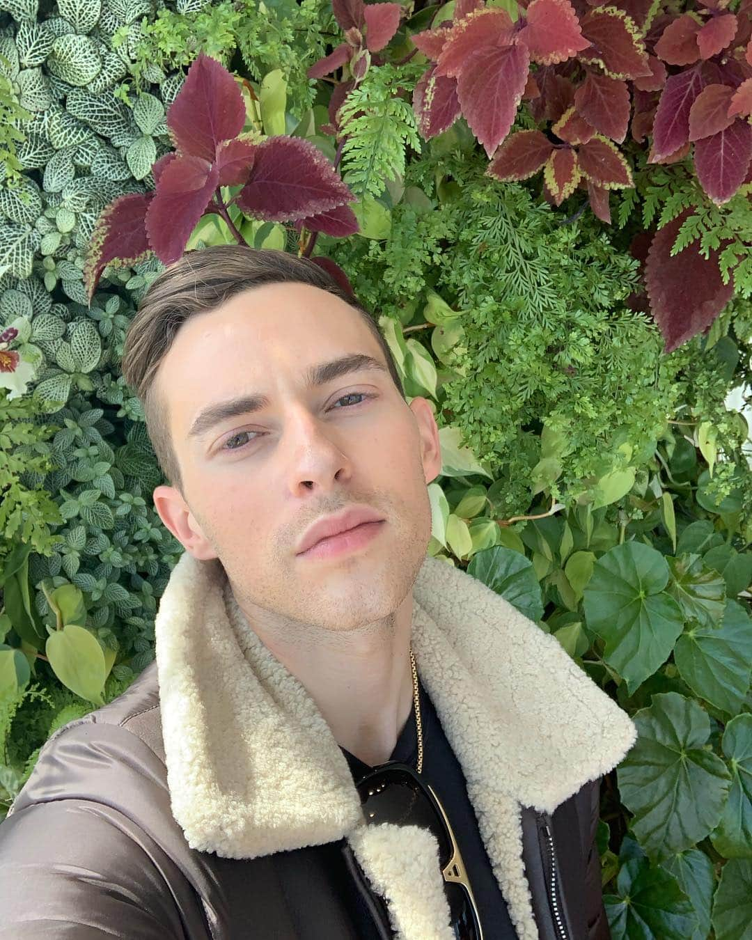 アダム・リッポンさんのインスタグラム写真 - (アダム・リッポンInstagram)「Mary, Mary, quite contrary How does your garden grow?」5月4日 3時02分 - adaripp