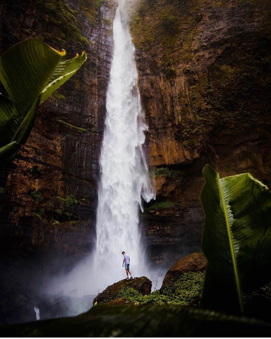 FOLKさんのインスタグラム写真 - (FOLKInstagram)「Today feels like one of those days where I want to run very very very deep into a million acres of woods and forests and rivers and lakes and waterfalls and streams and mountains and prairies and wildernesses of endless dreams. Photographing flora, fauna, man, nature, and everything in between. Photo by @sjoerdbracke #liveauthentic #livefolk」5月4日 3時05分 - folkmagazine