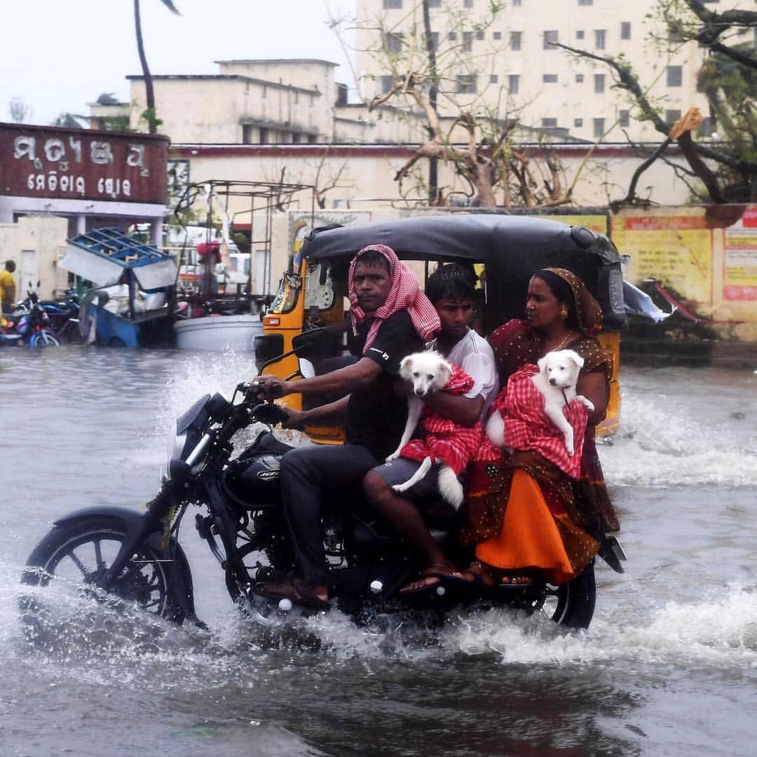 NBC Newsさんのインスタグラム写真 - (NBC NewsInstagram)「#Cyclone Fani tore through #India’s eastern coast on Friday, lashing beaches with rain and winds gusting up to 127 mph. Click the link in our bio to read more. . 📷 Dibyangshu Sarkar / @afpphoto」5月4日 3時25分 - nbcnews