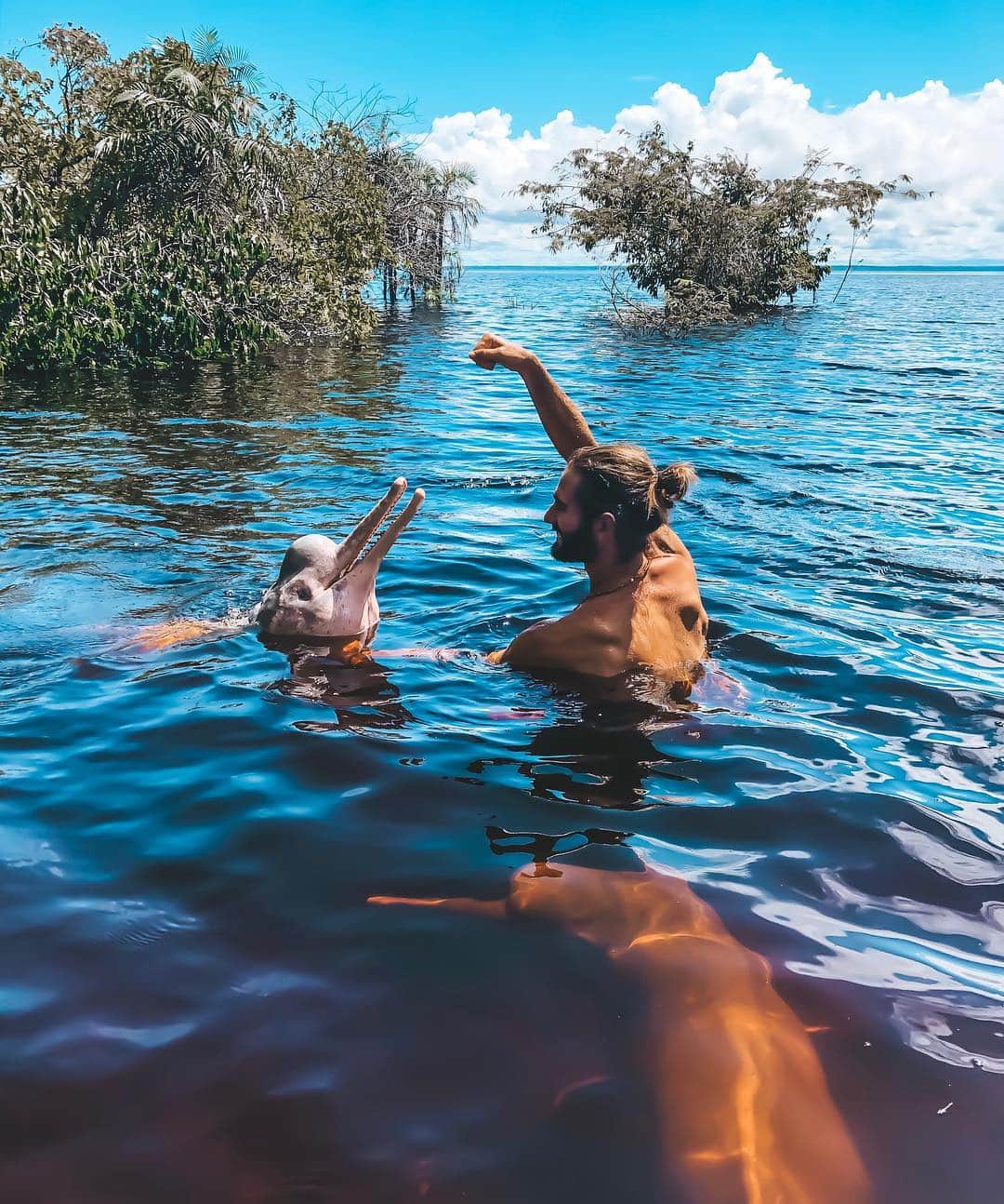 Ricardo Baldinさんのインスタグラム写真 - (Ricardo BaldinInstagram)「I recently mentioned how much I love to see wild animals on their natural habitat but today I not only got to see but interact with these very special creatures from the Amazon, so-called Botos, which are pink dolphins that live in the Amazon rivers. It almost look like those cheesy SeaWorld pictures but it’s far from it, as they are wild and spontaneously come interact with us humans. How lovely? 😍🐬 #amazon #boto #healing #love」5月4日 4時06分 - rbaldin