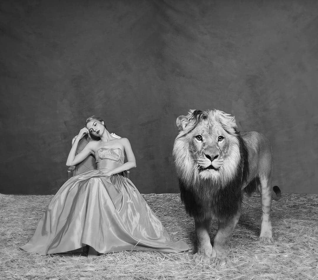 タイラー・シールズさんのインスタグラム写真 - (タイラー・シールズInstagram)「The Lady and the Lion. Magic can only happen if you let it, this photo I had not planned but while we were shooting I said to @alliemarieevans what if we sat you in the chair and had the lion walk around you. It came to me in the moment, luckily I happened to have the perfect chair for the photo already on stand by, the hard part was for her to remain so calm as again there was no cage for her nothing between her and lion, and I was on a very slow camera so we really had to take our time with this, no rapid fire, when I got the photos back, I showed this one to a friend of mine and she cried, she said it was the most impossible photo she had even seen, I didn’t understand what she meant because I had taken it. Often times we stop of selves from doing what’s hard  and we write it off as impossible, nothing is impossible, but this was one of the more difficult photos I have ever taken. What does this photo say to you? If you had to caption it what would you say?」5月4日 4時32分 - thetylershields