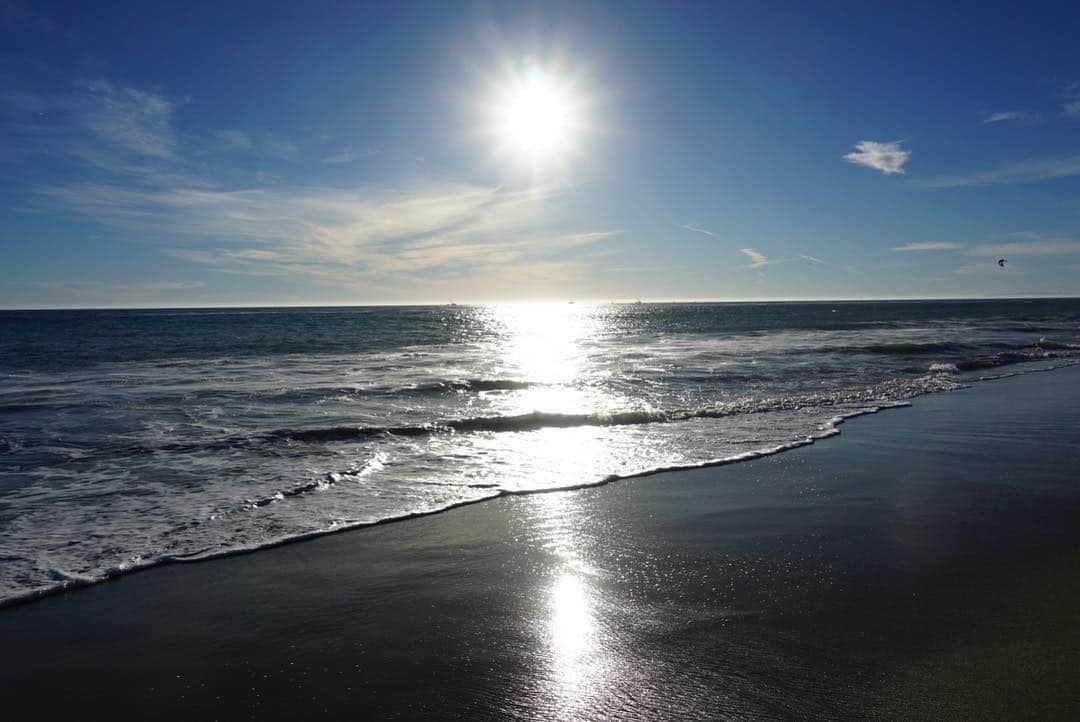 川和美輝さんのインスタグラム写真 - (川和美輝Instagram)「ディスコはちっちゃい時に 頭から波にザブーン🙄🌊されて以来 波といういきものが怖いみたいです 🐶⛱ #水がこわいチワワ #ちわわ部 #海 #砂浜は好き #DiscoCherry #chihuahua」5月4日 14時32分 - mikikawawa