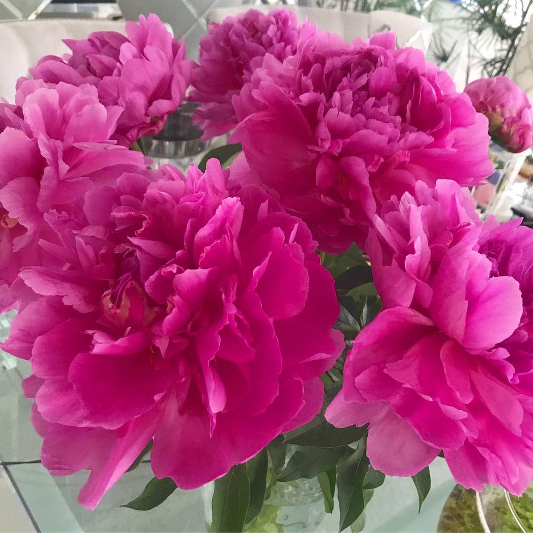平子理沙さんのインスタグラム写真 - (平子理沙Instagram)「つぼみの状態で買ってきたシャクヤクの花が大きく咲いて、満開になりました🤩💕❣️ お花があると、家にいてもテンションが上がる〜🎈✨ #peony#シャクヤク#flowers#pink#lifestyle#beauty #fashion #risahirako #平子理沙」5月4日 14時43分 - risa_hirako
