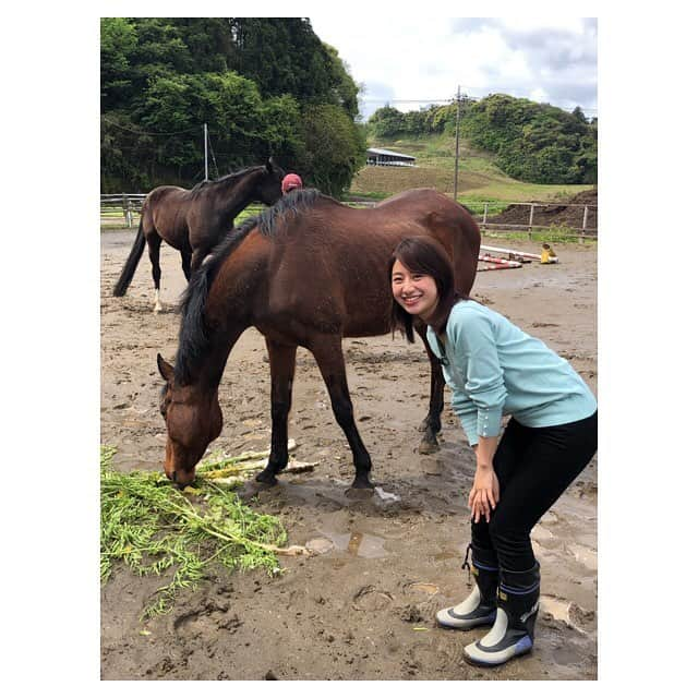 林美沙希さんのインスタグラム写真 - (林美沙希Instagram)「先日ロケで"ハルウララ"に会いに行きました。 113連敗という記録をつくった競走馬。今は穏やかに余生を過ごしていました。 調教師の方いわく、とてもマイペース。取材時間2時間弱では仲良くなれませんでした笑 食欲旺盛で、元気に大根や人参を食べていましたよ✨  #jチャンネル#ハルウララ#競走馬#連敗記録#人気者#マーサファーム#ロケ#林美沙希#午年」5月4日 14時52分 - misaki0hayashi