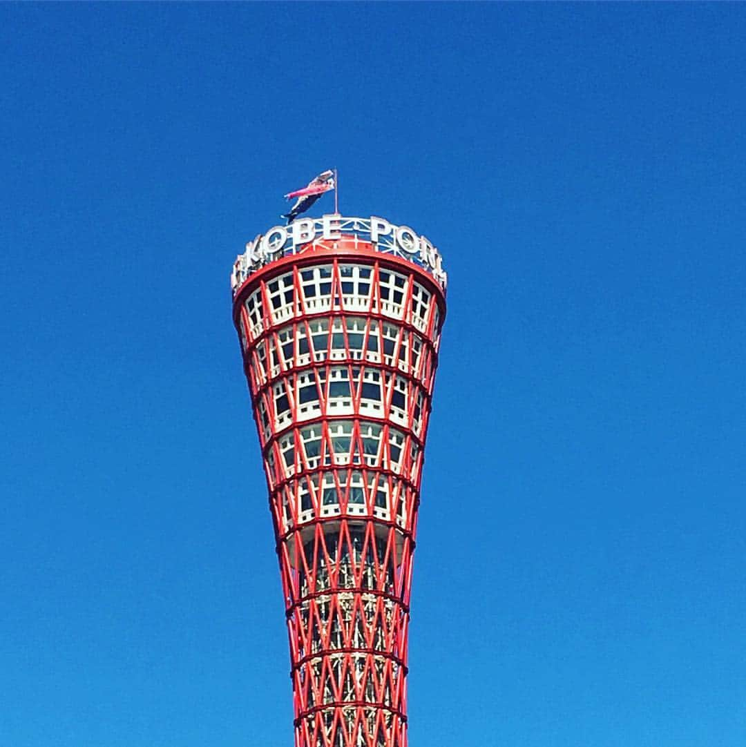 桂かい枝さんのインスタグラム写真 - (桂かい枝Instagram)「ポートタワーの上に鯉のぼり〜  地味やけど、かわいい演出〜  #神戸 #ポートタワー」5月4日 15時21分 - kaishikatsura