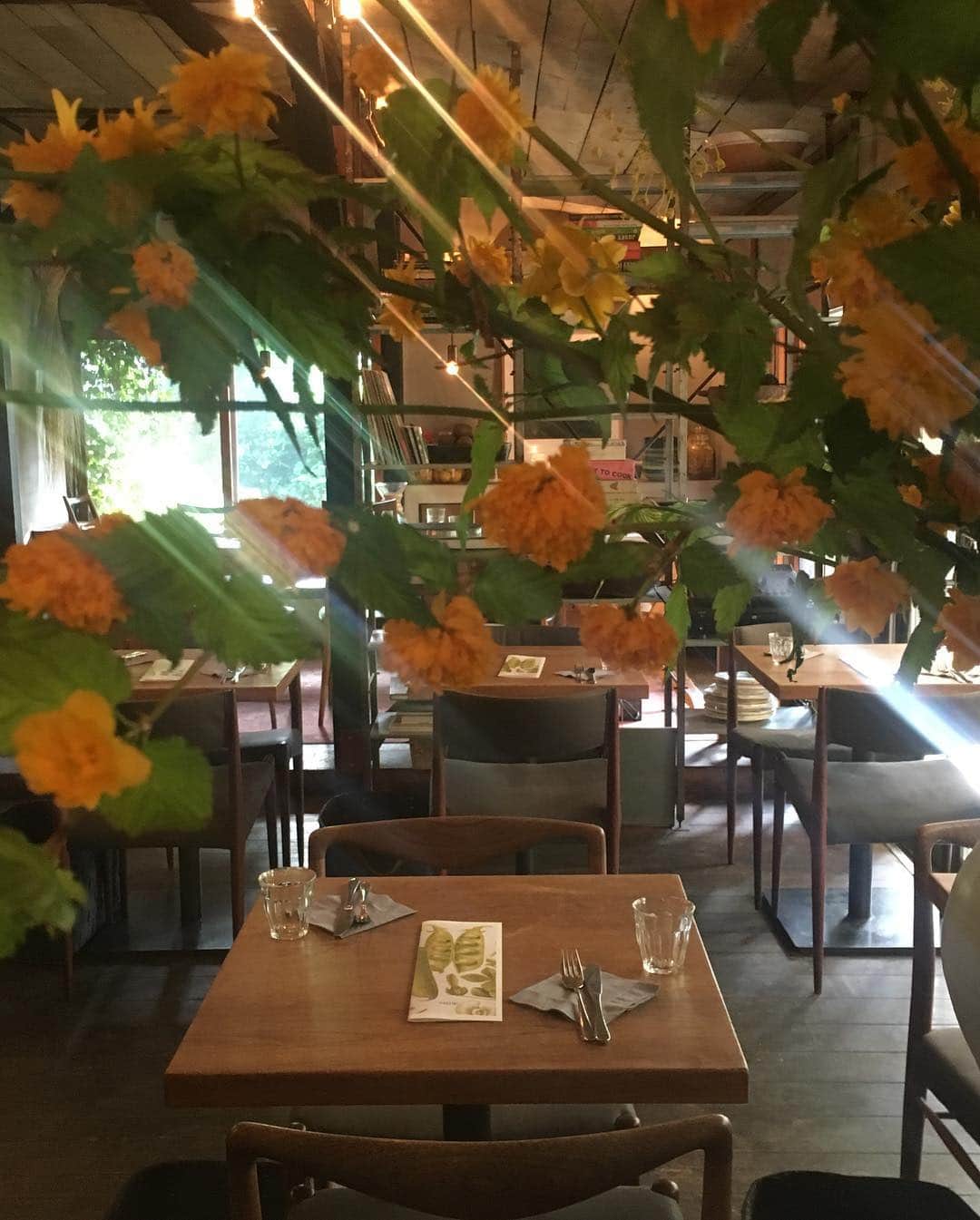 journaleatripのグルメインスタ