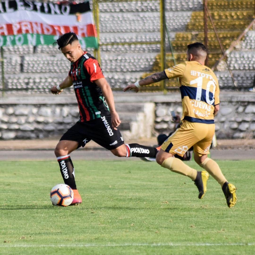 サッカー チリ代表チームさんのインスタグラム写真 - (サッカー チリ代表チームInstagram)「Por la #Fecha11 del #CampeonatoAFPPlanVital, @palestino derrotó a @evertonvina por 1-0 en el estadio Municipal de La Cisterna 🏟 📸Fotografía: Comunicaciones @palestino」5月4日 7時47分 - campeonatochi