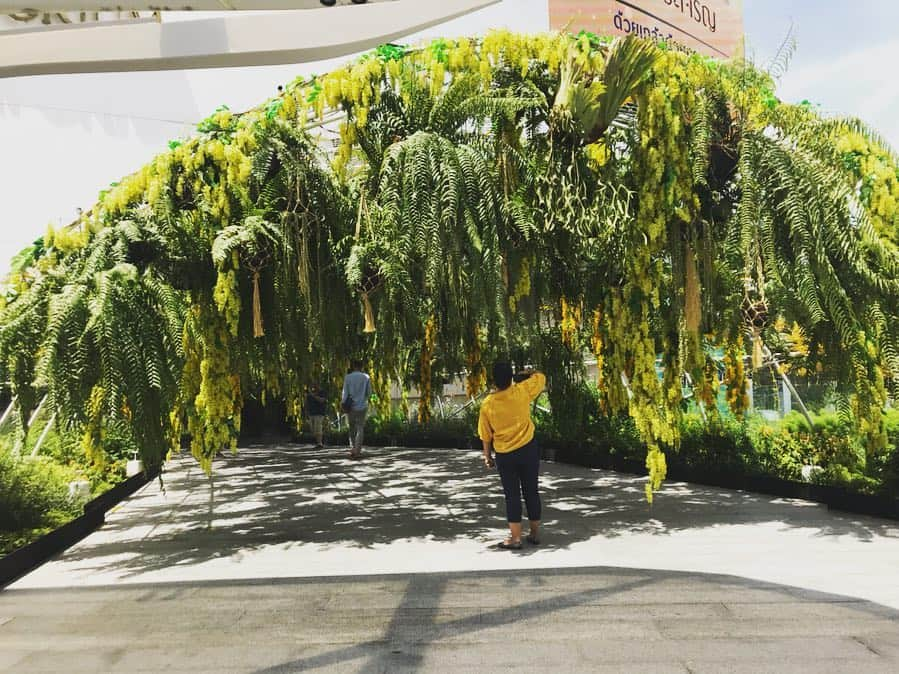 新井利佳さんのインスタグラム写真 - (新井利佳Instagram)「#Thailand #bangkok #phromphong #emporium #weekend #morning #kingandqueen #ceremony #yellow #arch #green #beautiful #elephant #Saturday  #泰國 #曼谷 #拍照景點 #bts #btsfree #黃色 #自然 #戴冠式 #國王 #假日 #3連休 #耶耶耶 #大象 #花 #おはよう #週末快樂 今日から戴冠式の為三連休✨🇹🇭🕊町は黄色だらけ😆🌿 ここのエンポリの毎月の飾り付け好き😊」5月4日 8時03分 - rika.arai