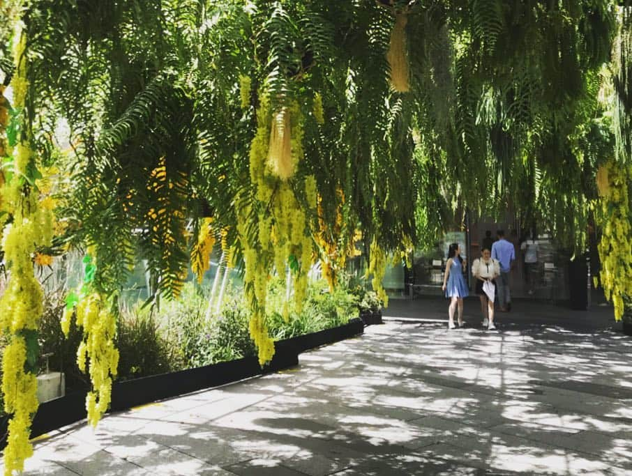 新井利佳さんのインスタグラム写真 - (新井利佳Instagram)「#Thailand #bangkok #phromphong #emporium #weekend #morning #kingandqueen #ceremony #yellow #arch #green #beautiful #elephant #Saturday  #泰國 #曼谷 #拍照景點 #bts #btsfree #黃色 #自然 #戴冠式 #國王 #假日 #3連休 #耶耶耶 #大象 #花 #おはよう #週末快樂 今日から戴冠式の為三連休✨🇹🇭🕊町は黄色だらけ😆🌿 ここのエンポリの毎月の飾り付け好き😊」5月4日 8時03分 - rika.arai