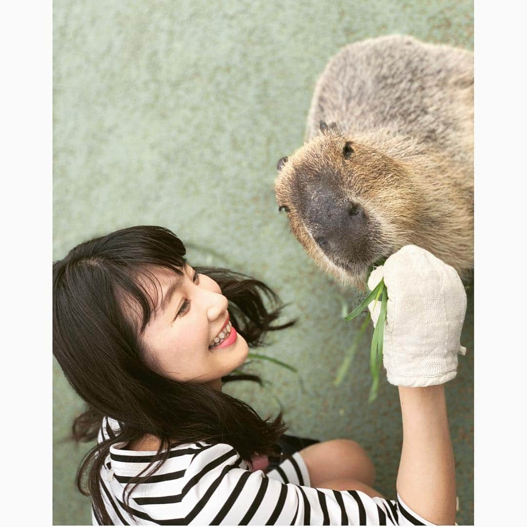 島津久美子さんのインスタグラム写真 - (島津久美子Instagram)「しま旅*伊豆シャボテン公園 * 度々ニュースにも登場していて、ずっと気になっていた…* カピバラさん * 顔も頭もフニャフニャになるほど可愛すぎました😍😂😍😂 #カピバラ #カピバラさん #楽園 #ご飯をあげる #触れ合える #元祖 #カピバラ温泉 #旅好き女子 #ゴールデンウィーク #伊豆旅行 #動物公園 #終始笑顔 #いっぱい食べる #春旅 #静岡県 #シャボテン公園 #満喫 #楽しかった #また行きたい場所  #ボーダーワンピース #girlstrip #gw2019 #zoo #kapibara #katespade #happy」5月4日 8時29分 - kumiko_shimazu