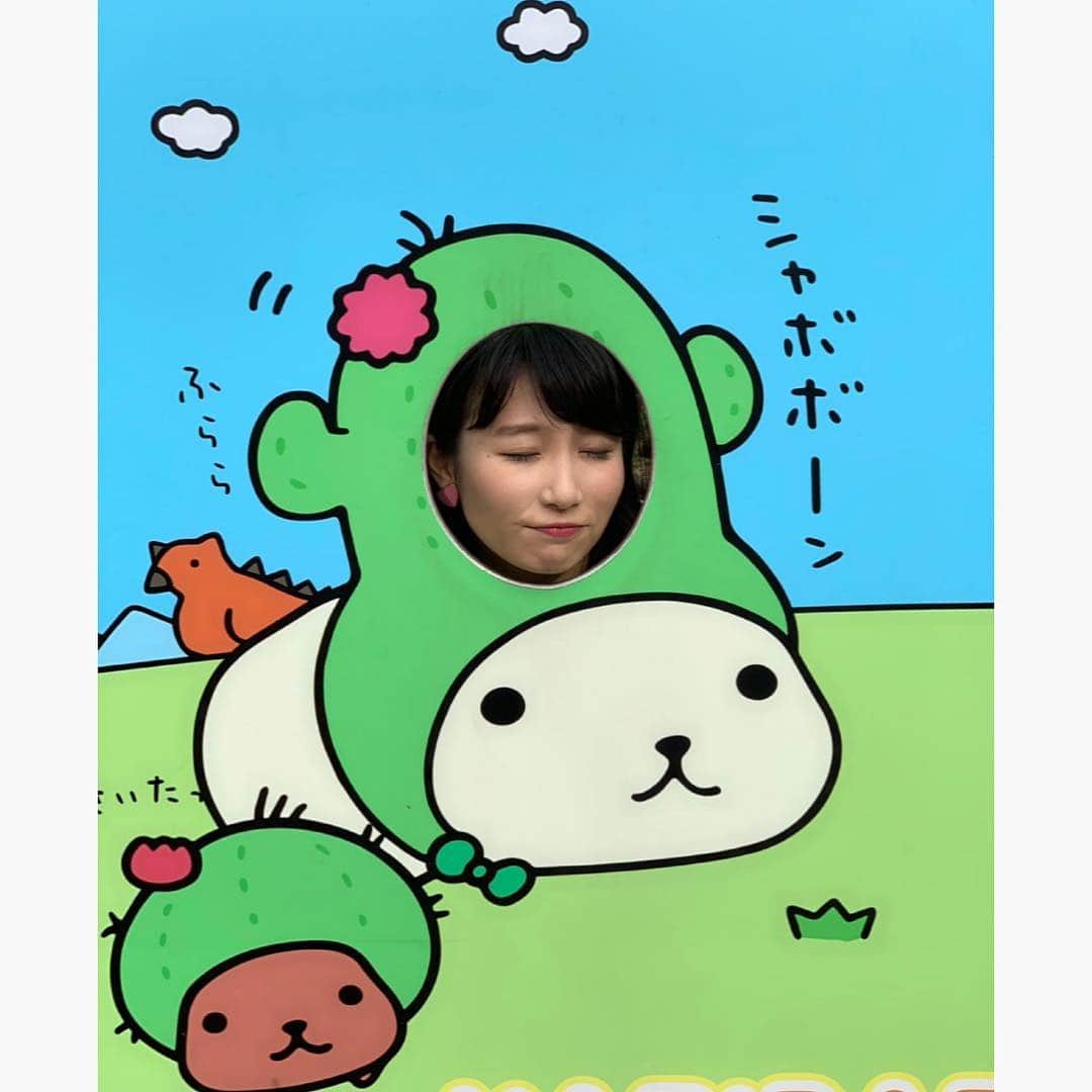 島津久美子さんのインスタグラム写真 - (島津久美子Instagram)「しま旅*伊豆シャボテン公園 * 度々ニュースにも登場していて、ずっと気になっていた…* カピバラさん * 顔も頭もフニャフニャになるほど可愛すぎました😍😂😍😂 #カピバラ #カピバラさん #楽園 #ご飯をあげる #触れ合える #元祖 #カピバラ温泉 #旅好き女子 #ゴールデンウィーク #伊豆旅行 #動物公園 #終始笑顔 #いっぱい食べる #春旅 #静岡県 #シャボテン公園 #満喫 #楽しかった #また行きたい場所  #ボーダーワンピース #girlstrip #gw2019 #zoo #kapibara #katespade #happy」5月4日 8時29分 - kumiko_shimazu